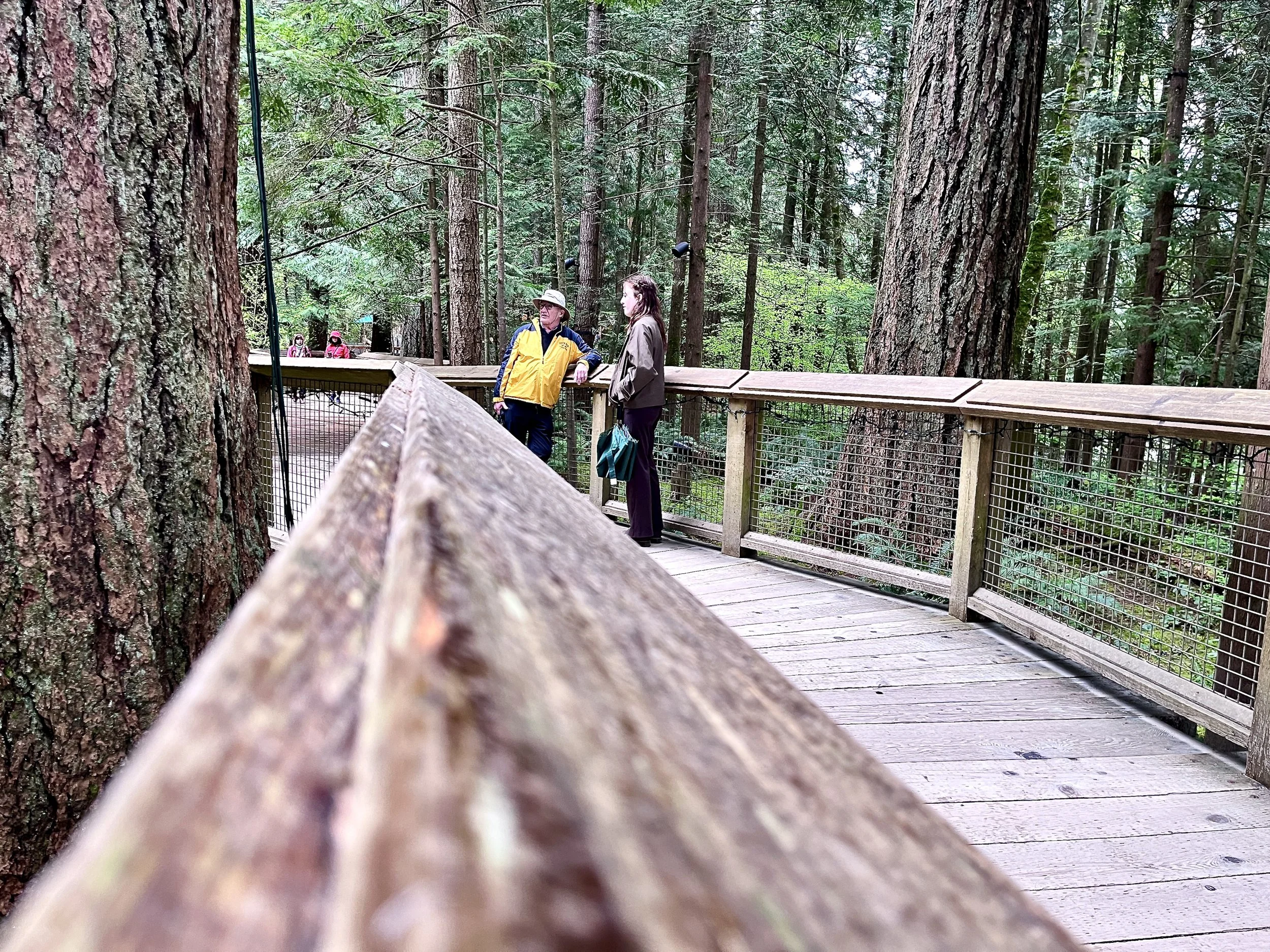 Treetops Adventure Modern Traveller 3.JPG