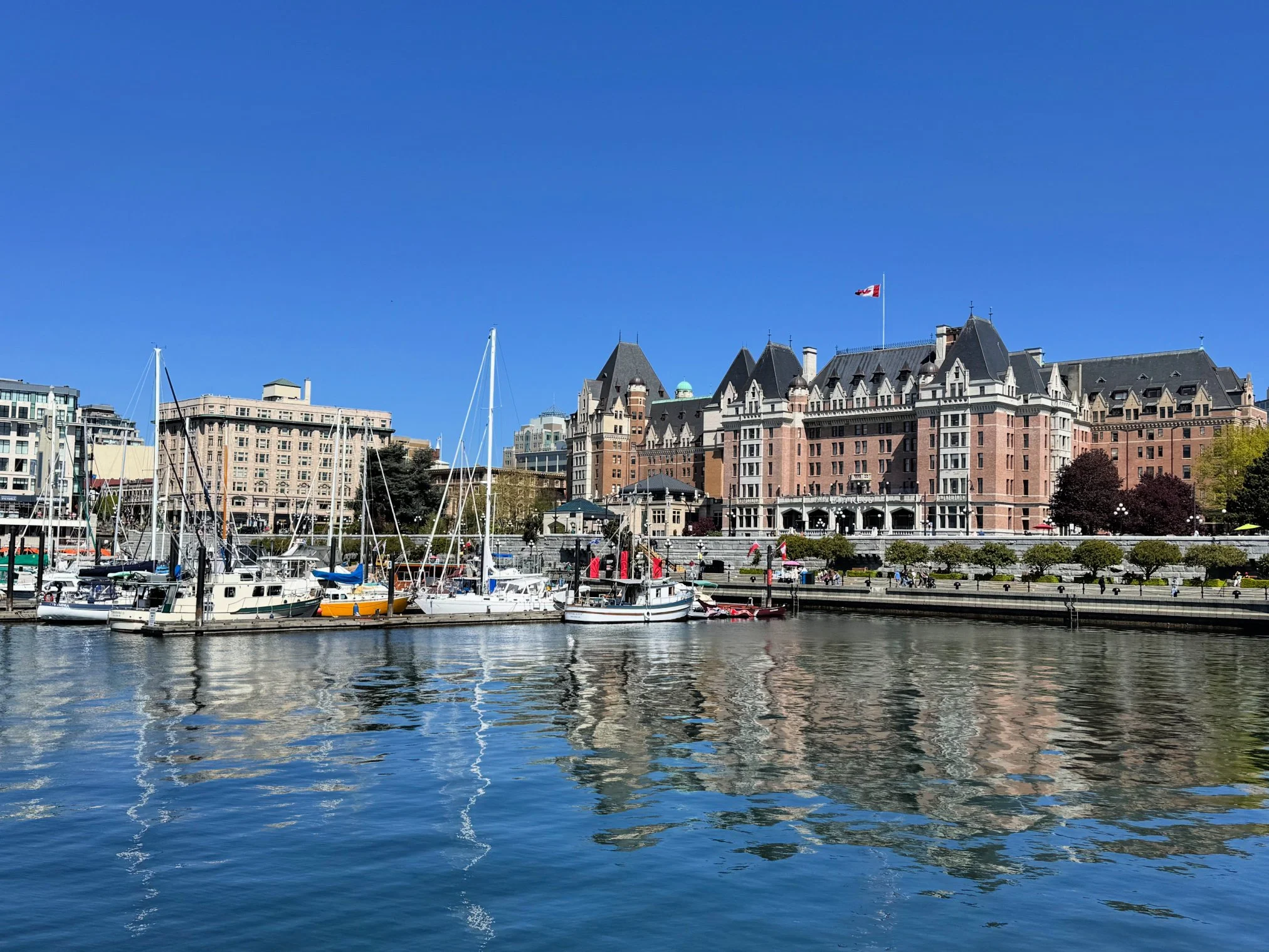 Where to Paddle, Pedal &amp; Pied&nbsp;in Victoria, British Columbia