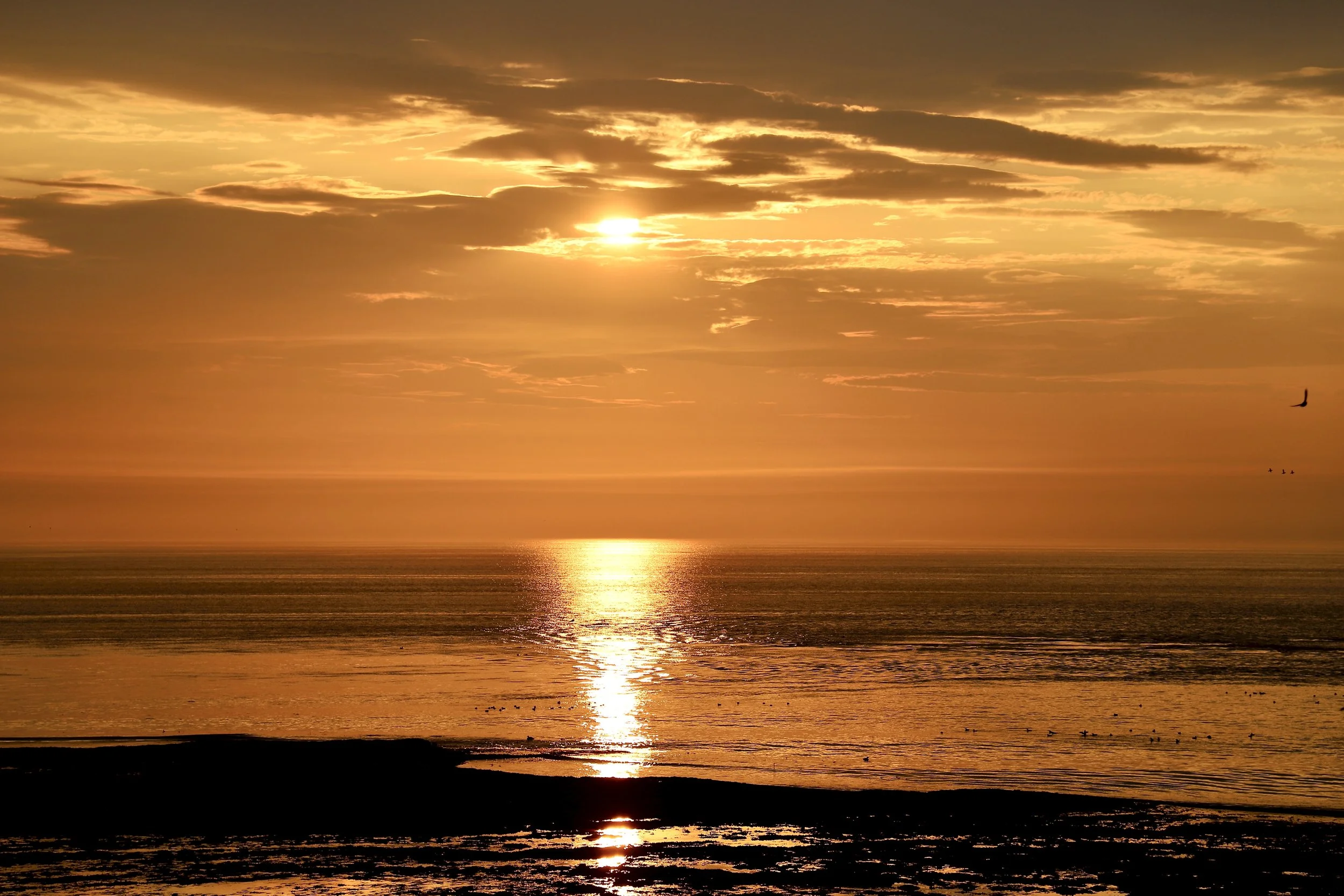 A stunning sunset as seen from Île aux Perroquets.JPG