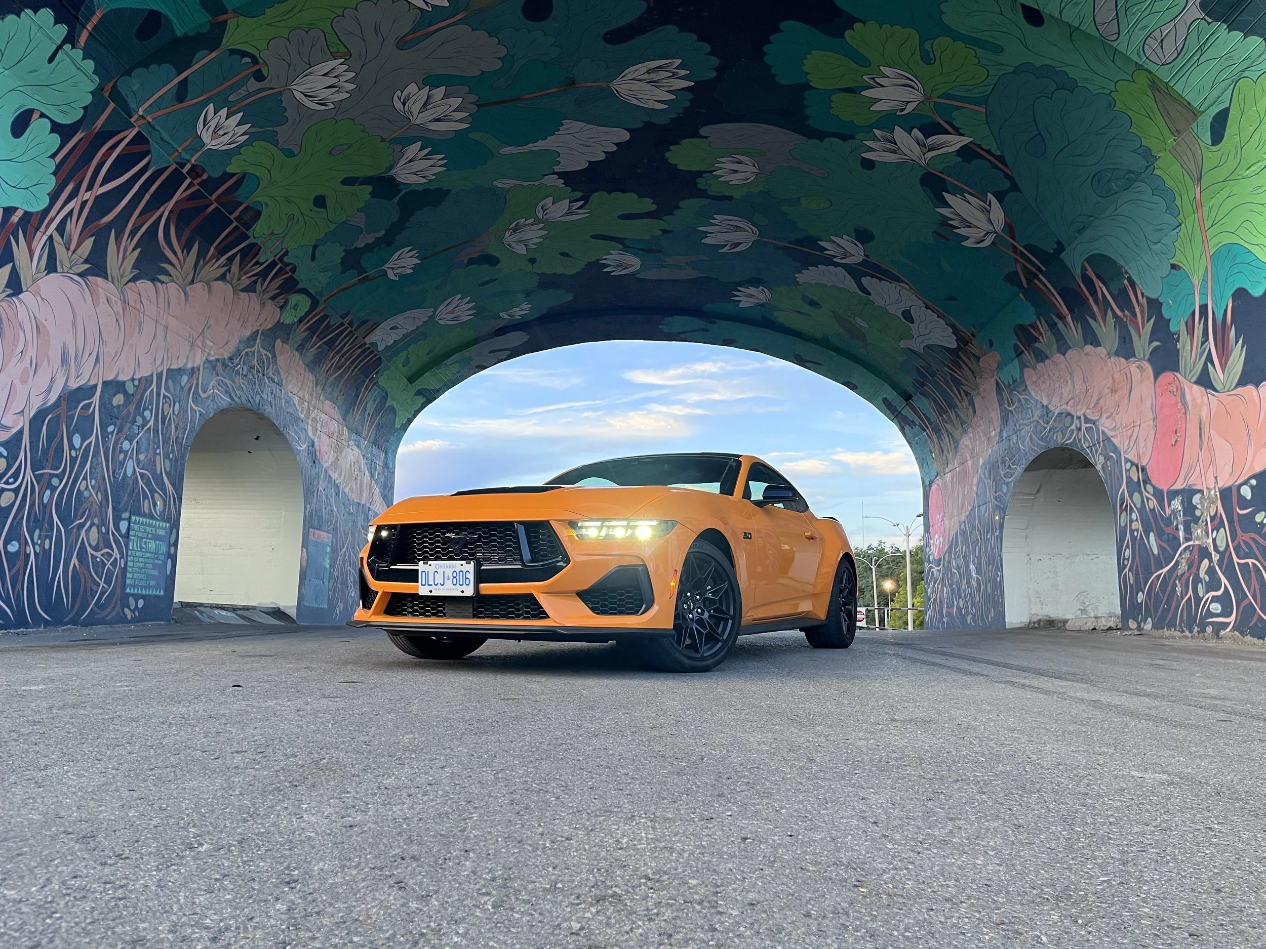 Mustang.JPG