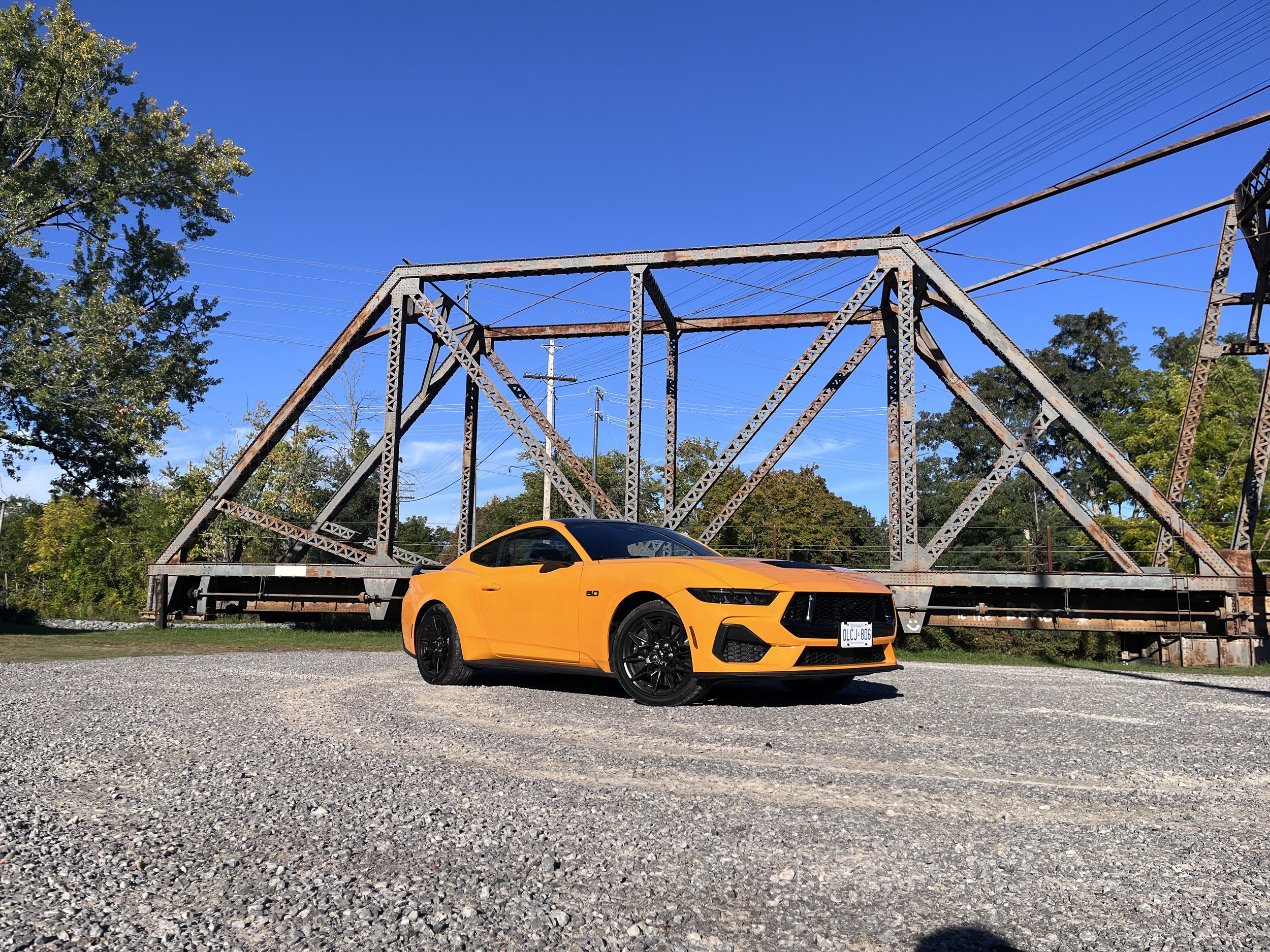 Mustang 2.JPG