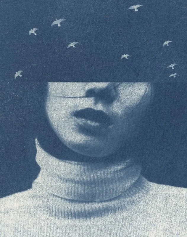 Cyanotype Prints