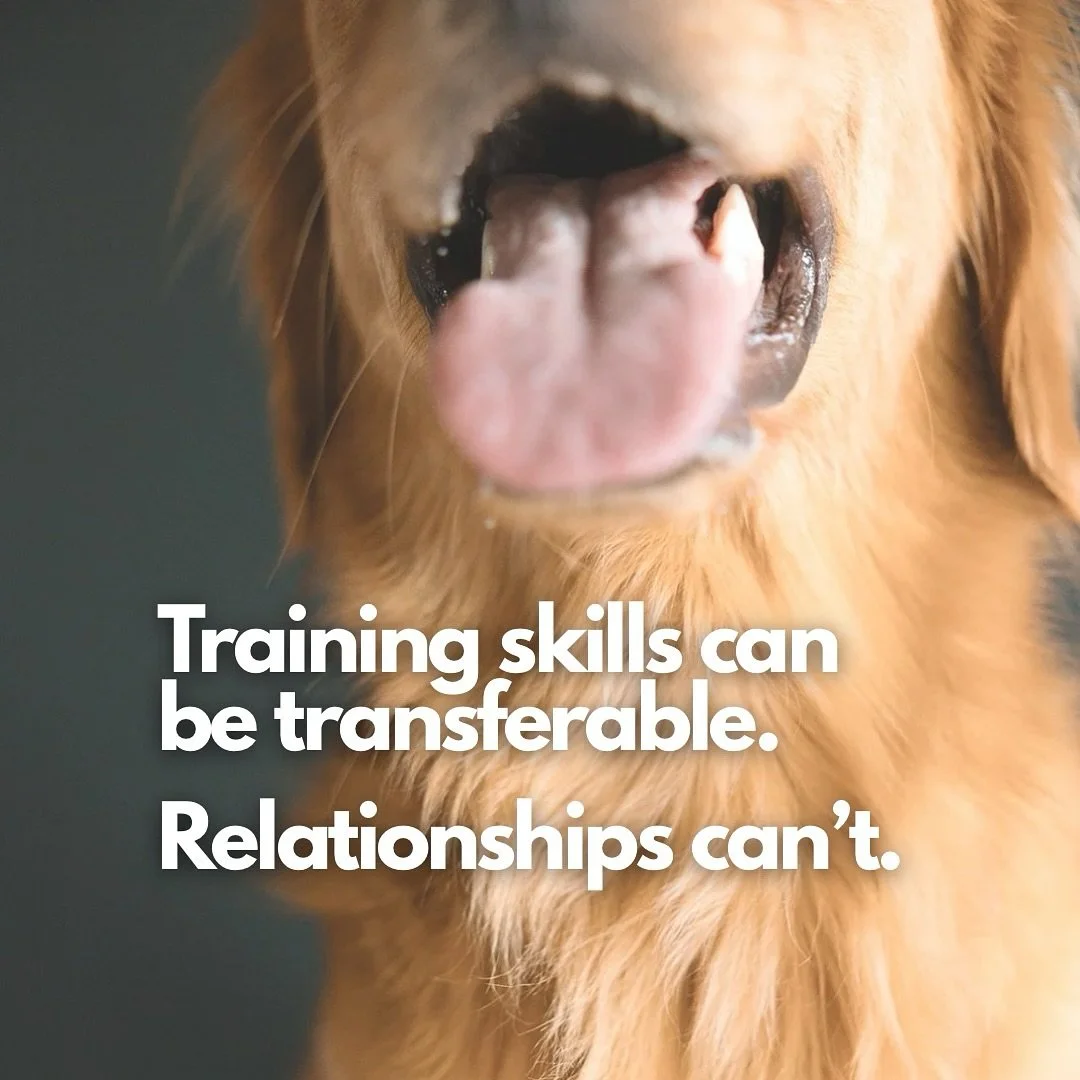 The training process is an exchange of education, tool use, and lifestyle tips from the trainer to owner. Possessing the skills, timing, and execution is a big piece in creating a seamless transition from program to home life. 

Most often, a dog has