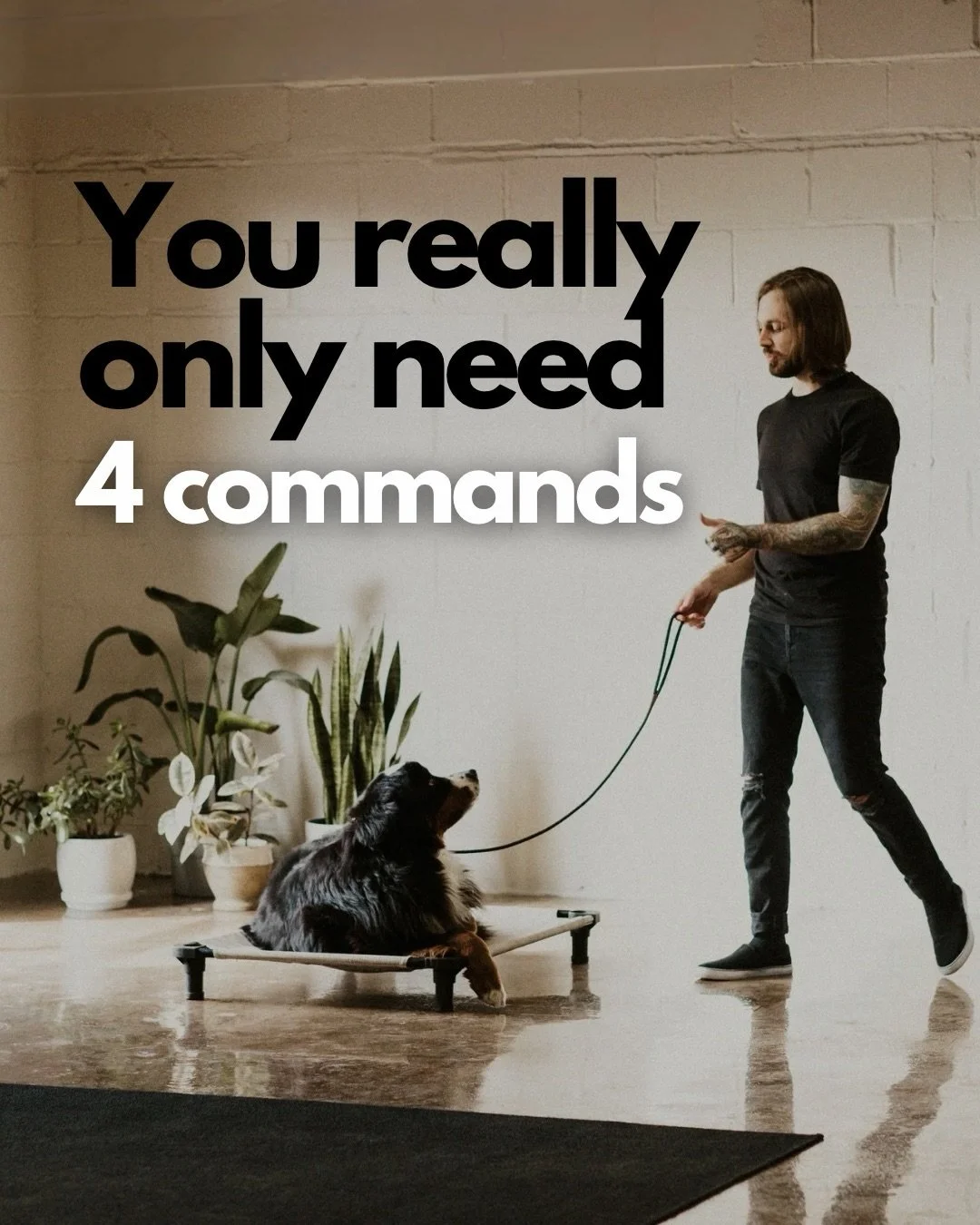 This list wasn&rsquo;t built on what commands or exercises look the coolest or are the most fun to do with your dog (sorry). This is the foundation that all dog owners should be building off. 

1. Thresholds: Patience at doorways must be instilled to