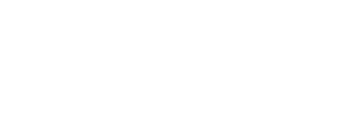 PIPS Alumni Network