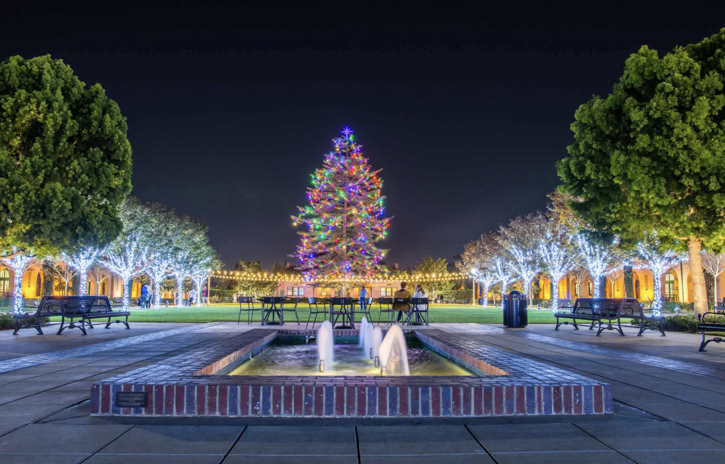 The Top Things to Do in San Diego This Holiday Season