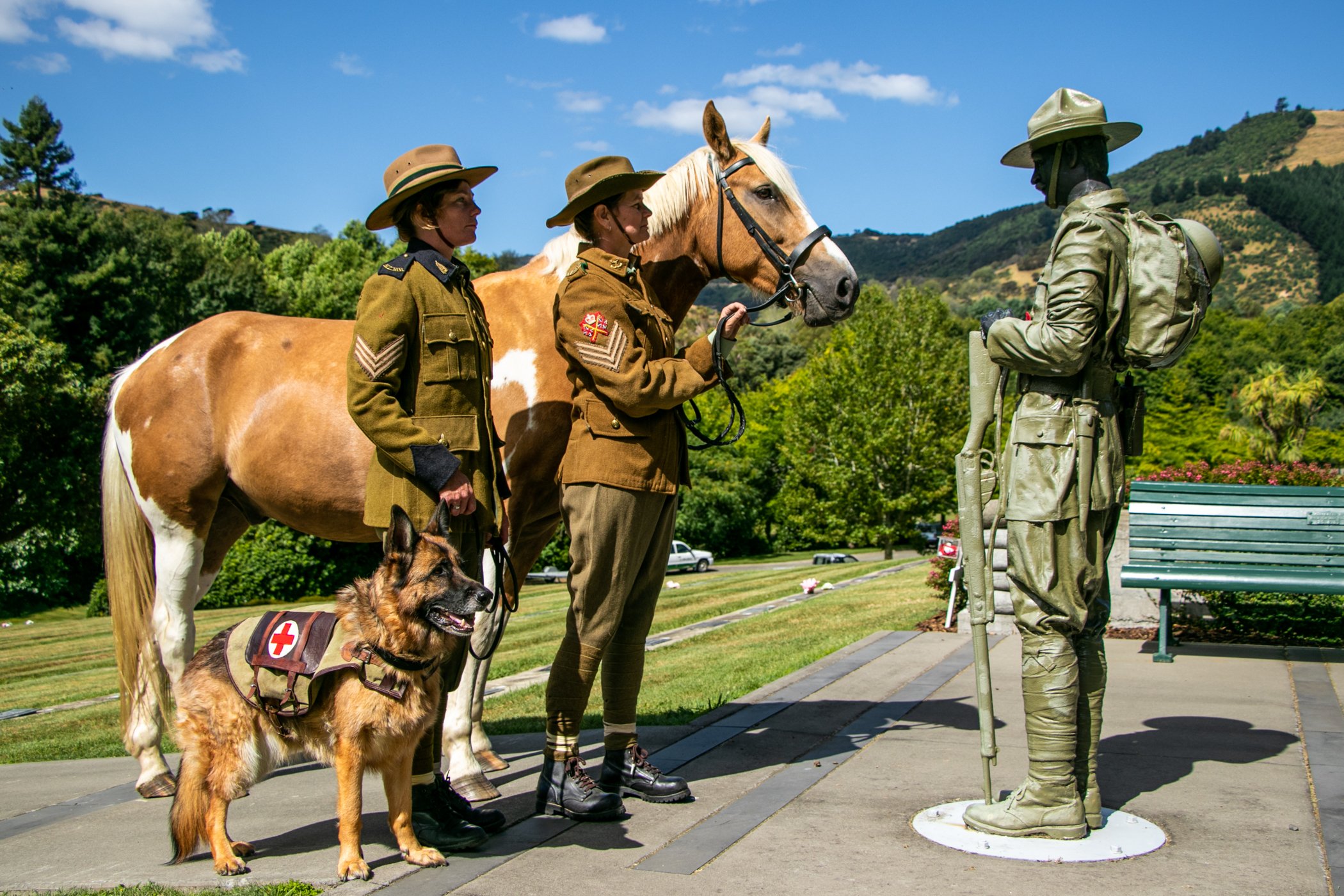 PURPLE POPPY DAY REMEMBERING THE ANIMALS IN WAR Purple Poppy Day-4.jpg