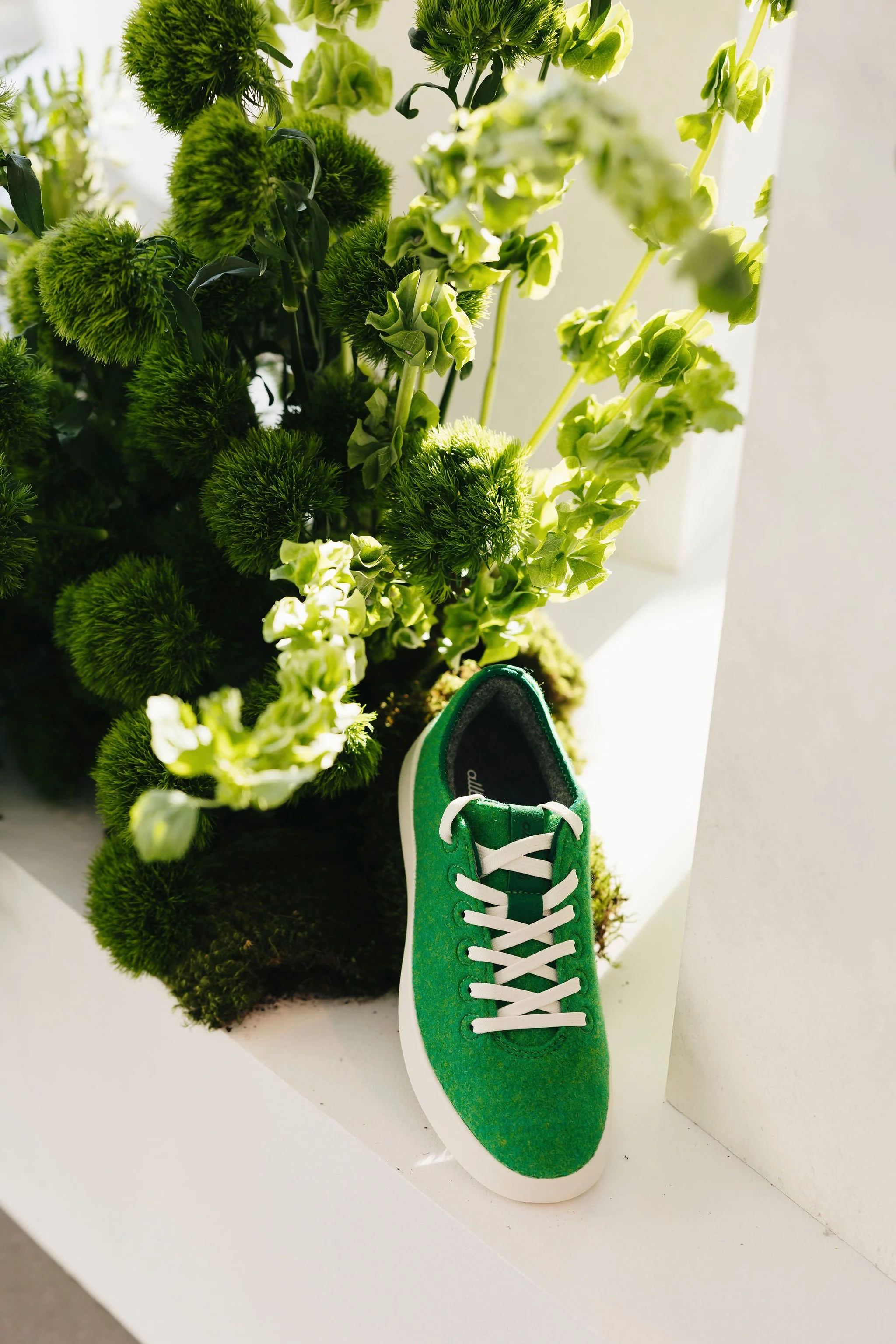 090525SS_Allbirds_035.jpg