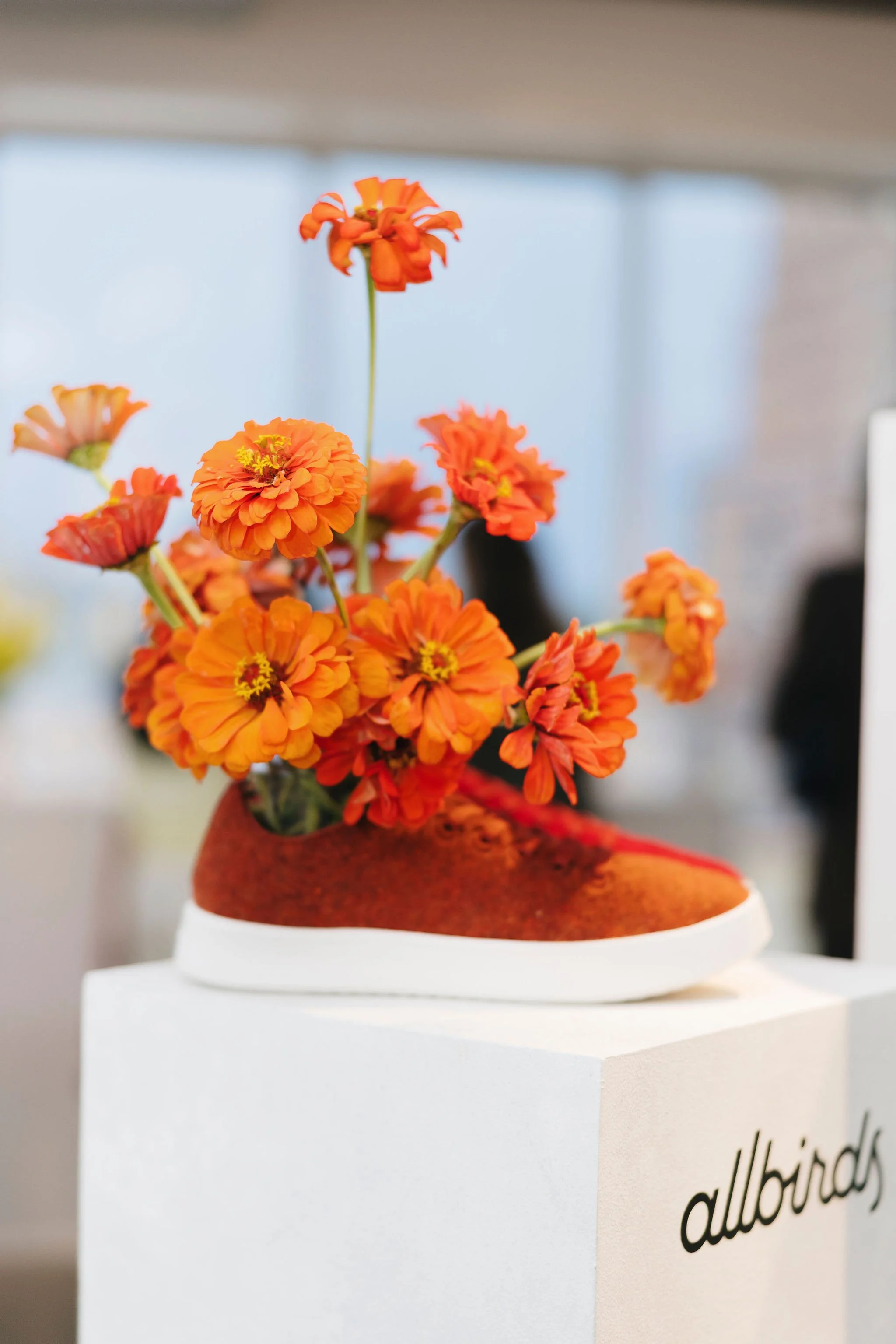 090525SS_Allbirds_185.jpg