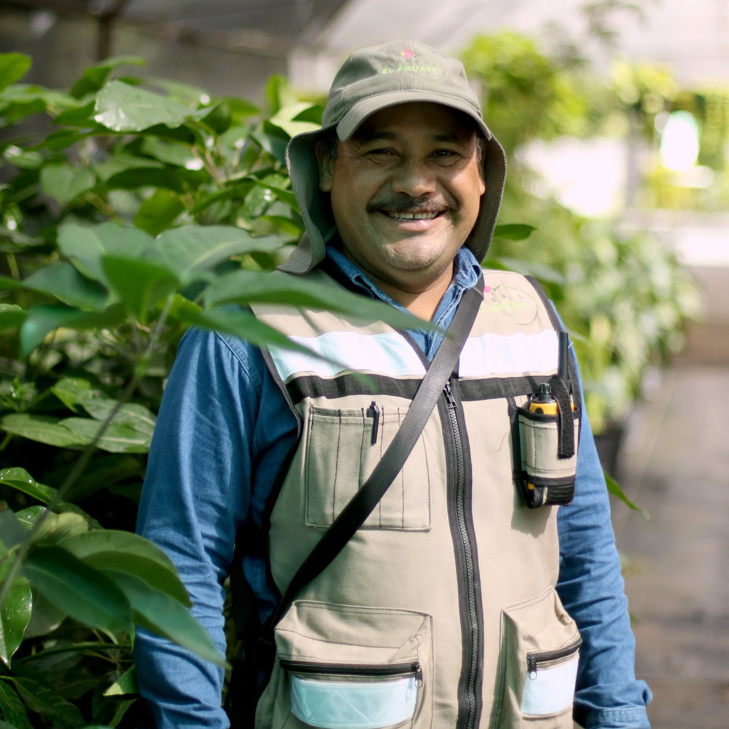 Mantenimiento de jardines