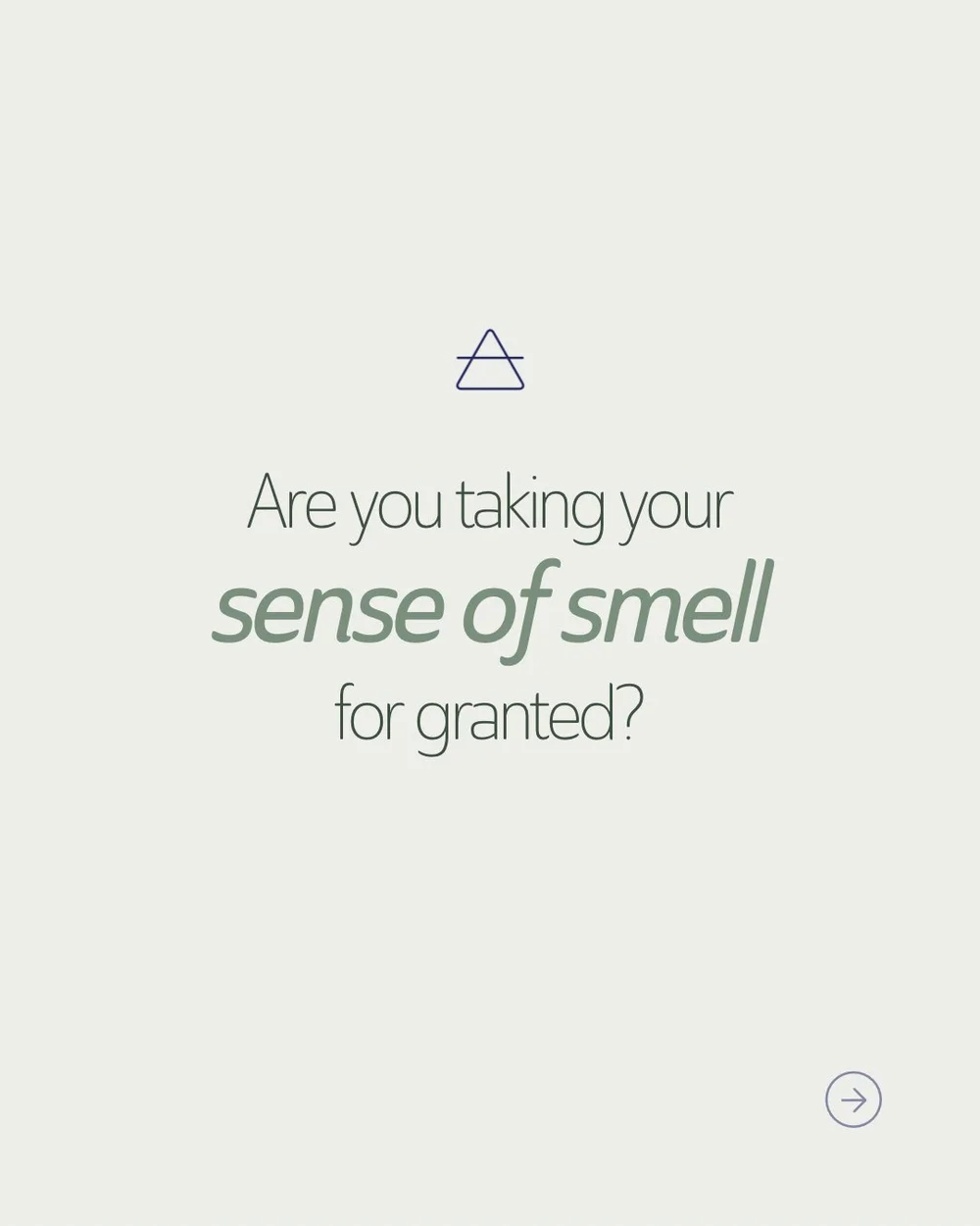 I&rsquo;ve always known that our sense of smell is probably considered the least &lsquo;boujee&rsquo; of our senses, but I was shocked reading the highlights from the 2022 study &ldquo;A Comparative Analysis of the Sensory and Psychological Value of 
