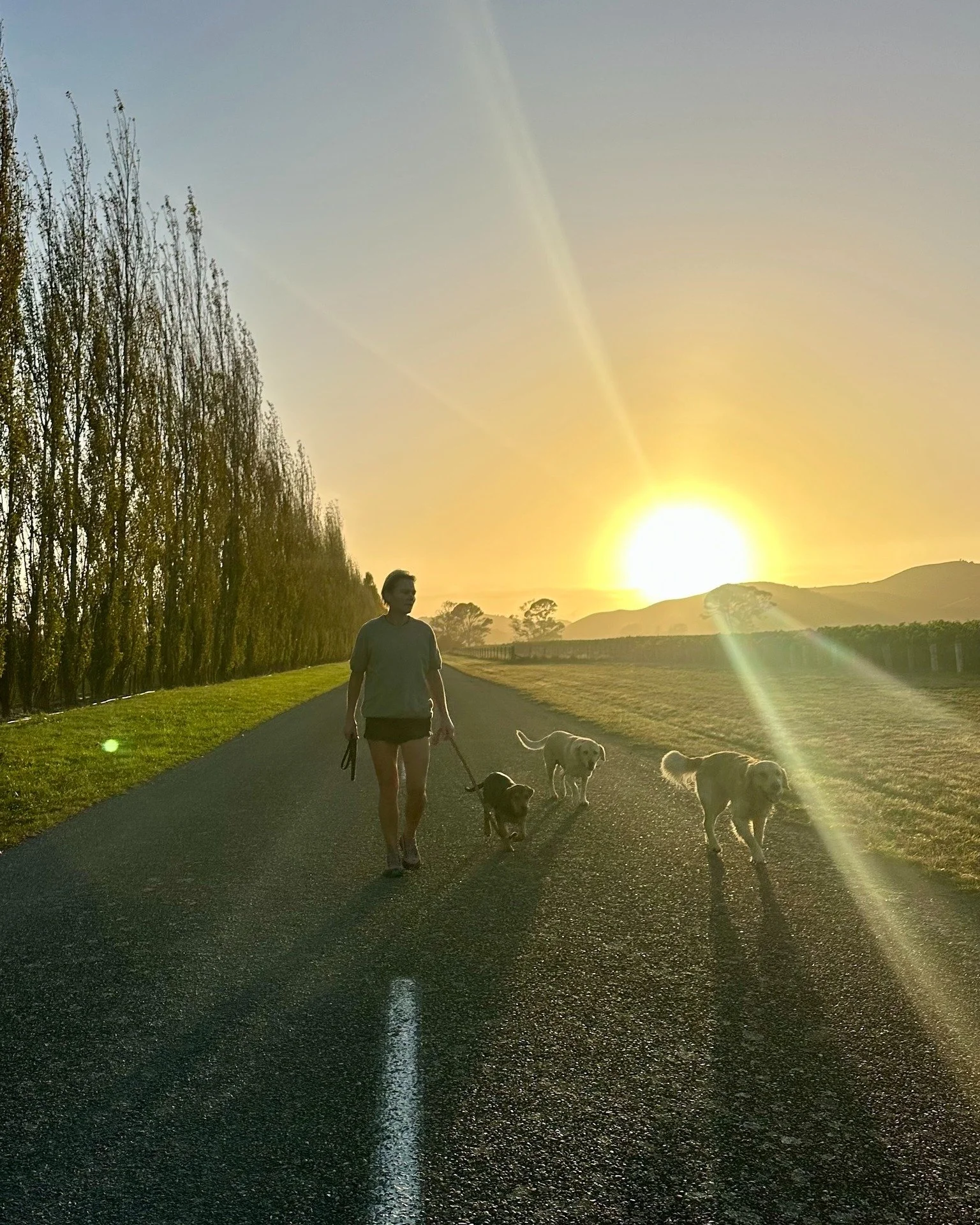 Grief is a really strange thing. Last week I was in Gisborne for the funeral of a truly good man - a father, a grandfather, the kind of person who leaves a proper dent when he goes.

The day after I found out he&rsquo;d passed, I glanced at my phone.