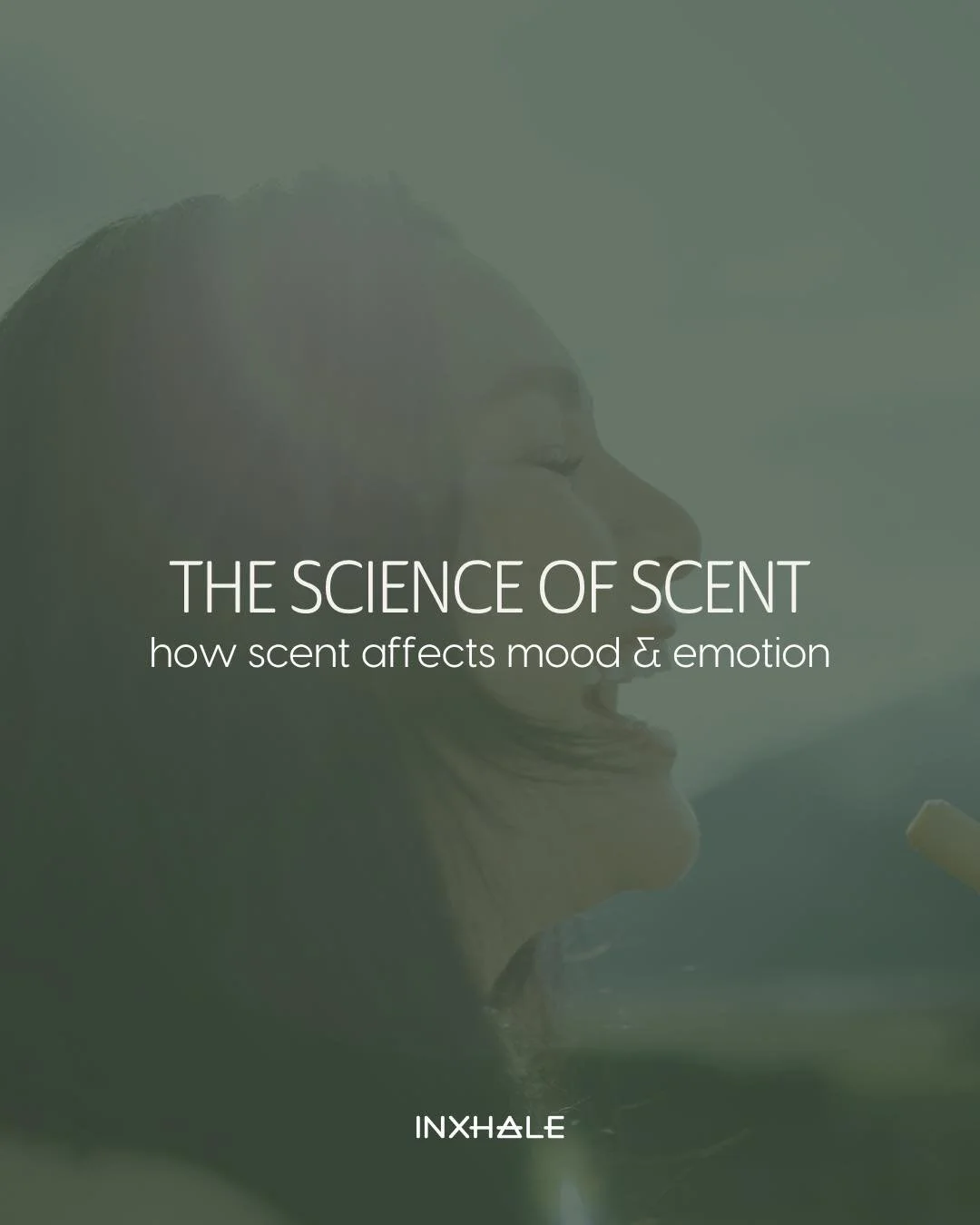 Scent is a powerful neurological stimulant that, when used and applied with insight and scientific understanding, can have a direct impact on how you think and feel.

Don&rsquo;t just take our word for it - swipe to get an overview of the science we&