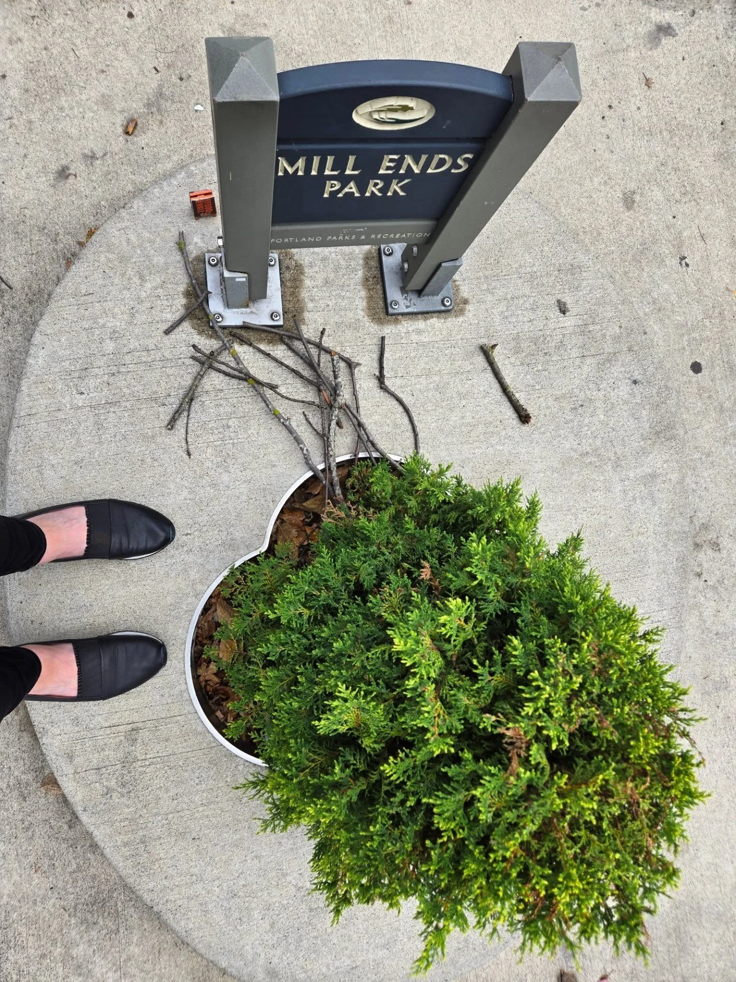 Visiting the smallest park in the world to finish up #AATA2025. See you next time, Portland!
・・・
#arttherapy #arttherapist #curiousspacetherapy #dcarttherapy #privatepractice #therapy #aCreativeDC #extraordinaryALX #oldtownalexandria #oldtownfairfax 