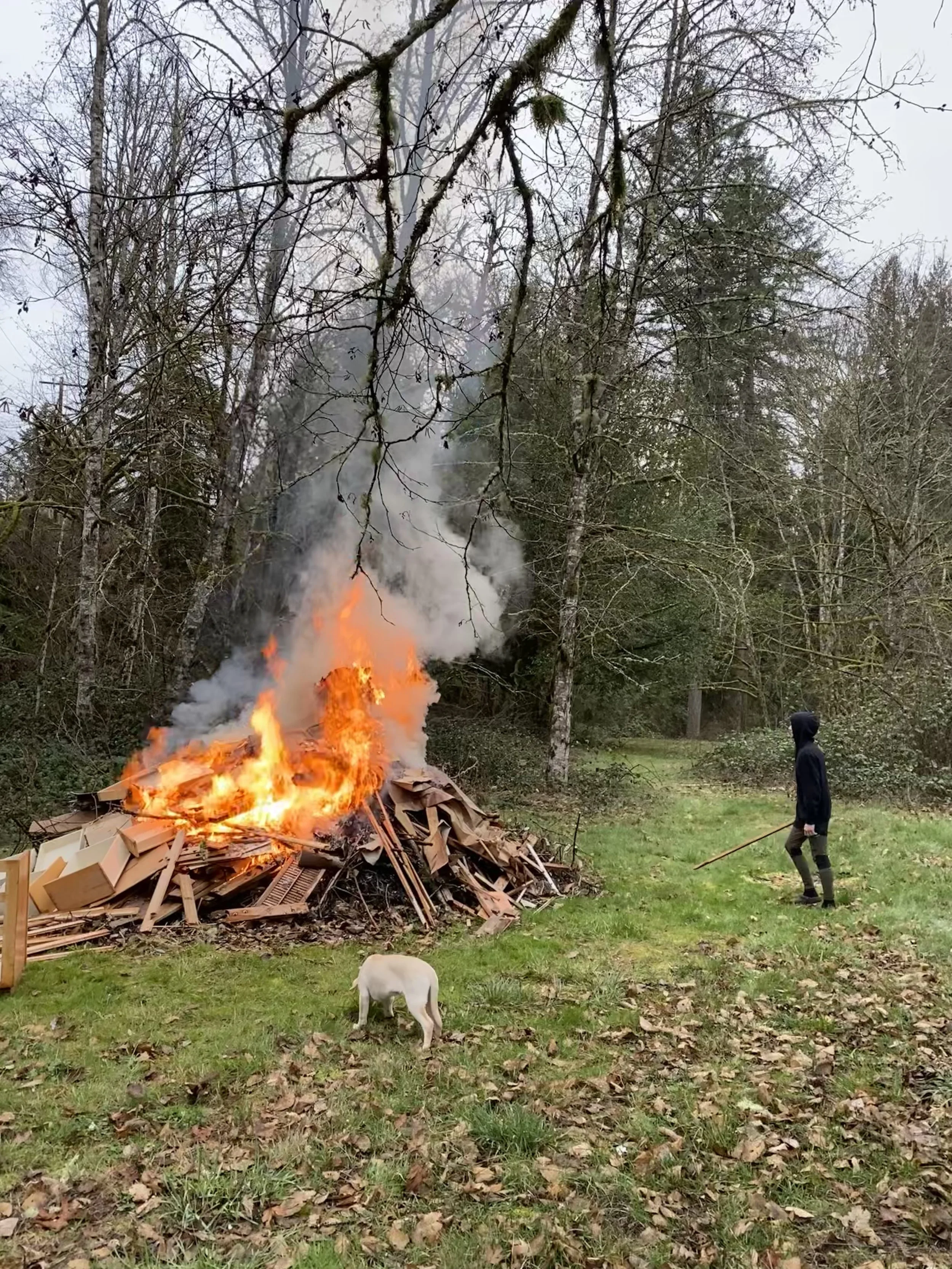 best_oregon_airbnb_4.jpeg