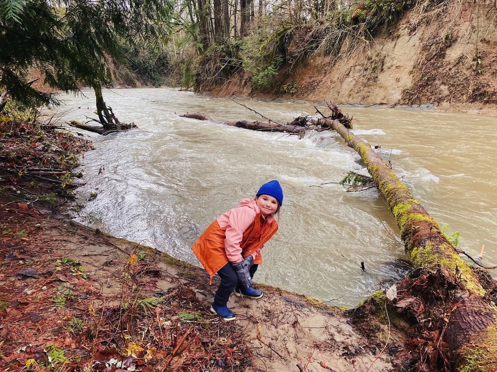 2022-winter - 1 of 4.jpeg