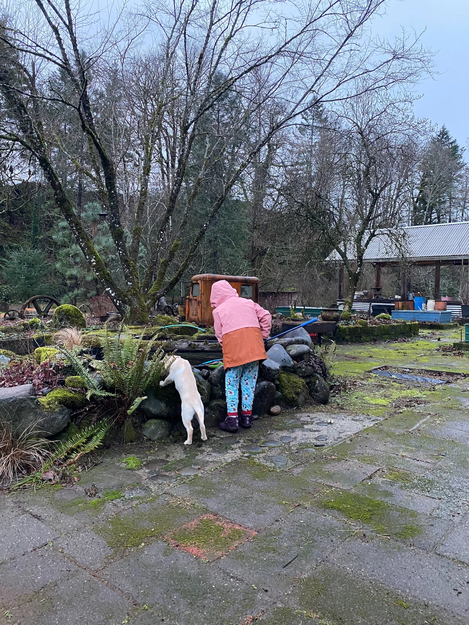 2022-winter - 2 of 4.jpeg