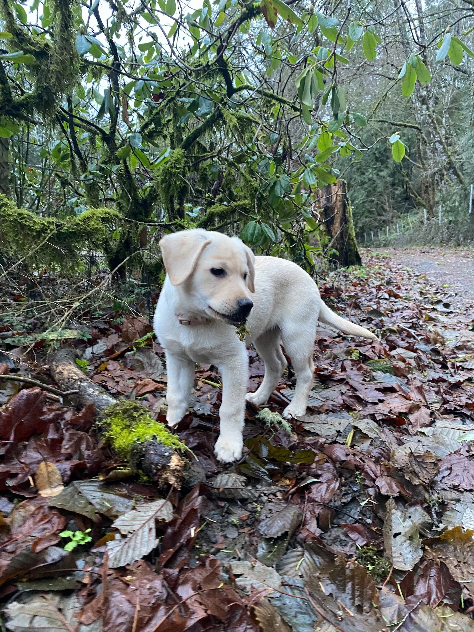 2022-winter - 3 of 4.jpeg