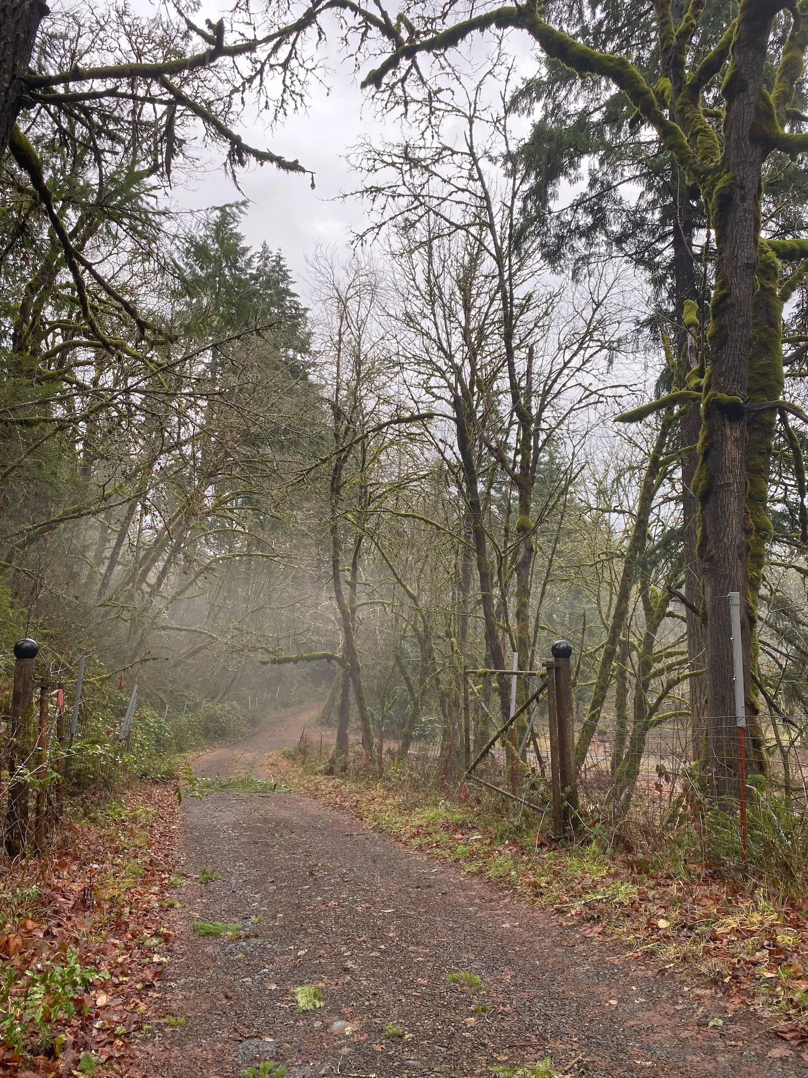 A sad welcome to winter