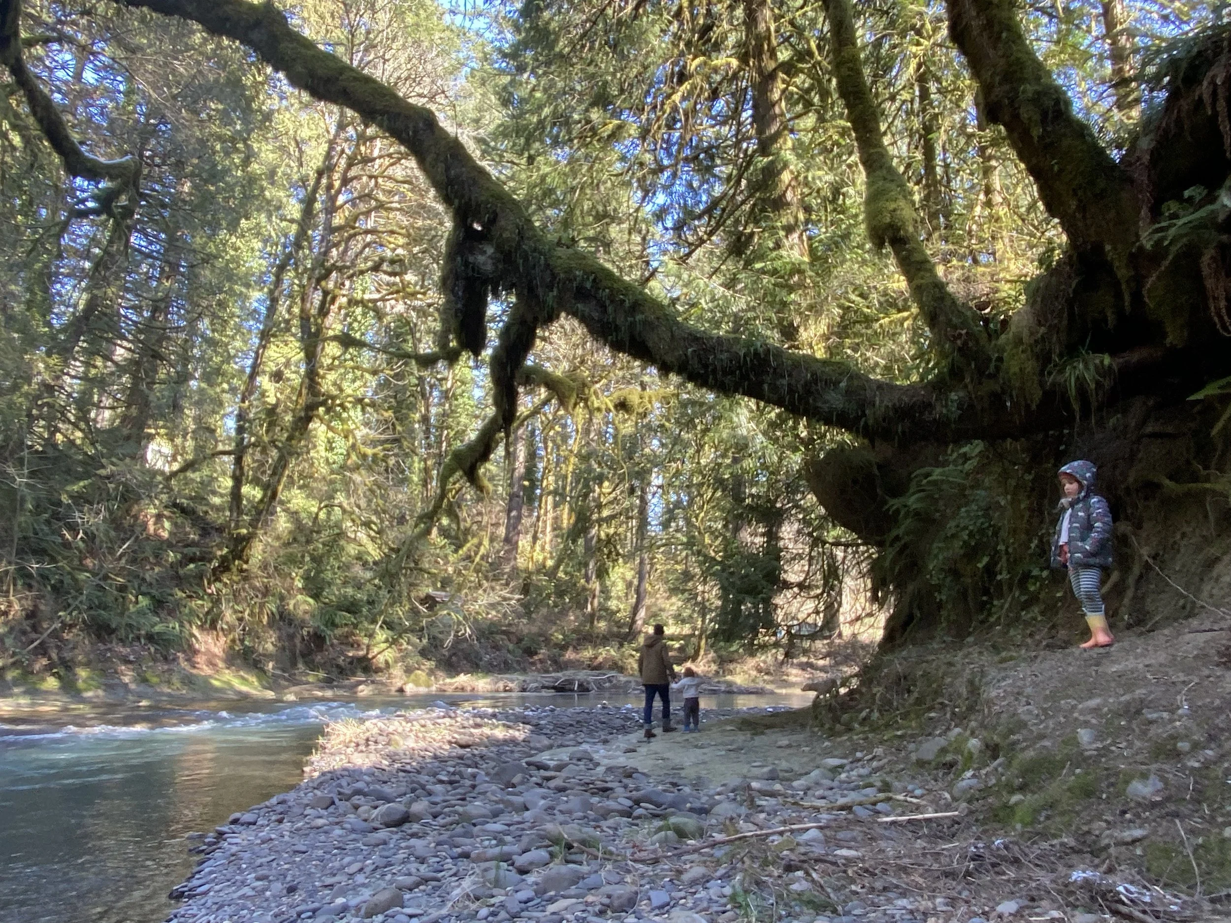 best_oregon_airbnb_23.jpeg