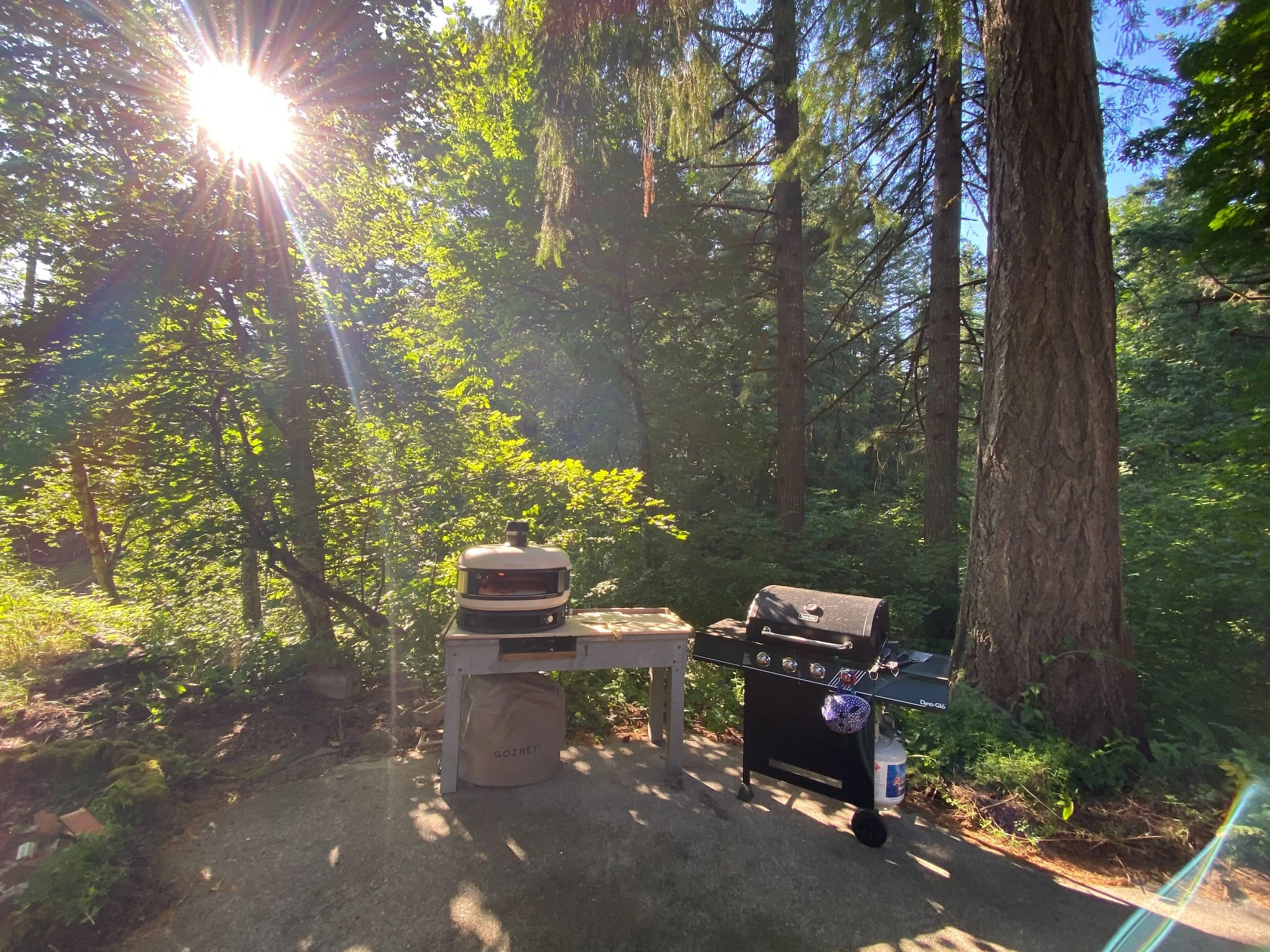 Library - 6 of 9.jpeg