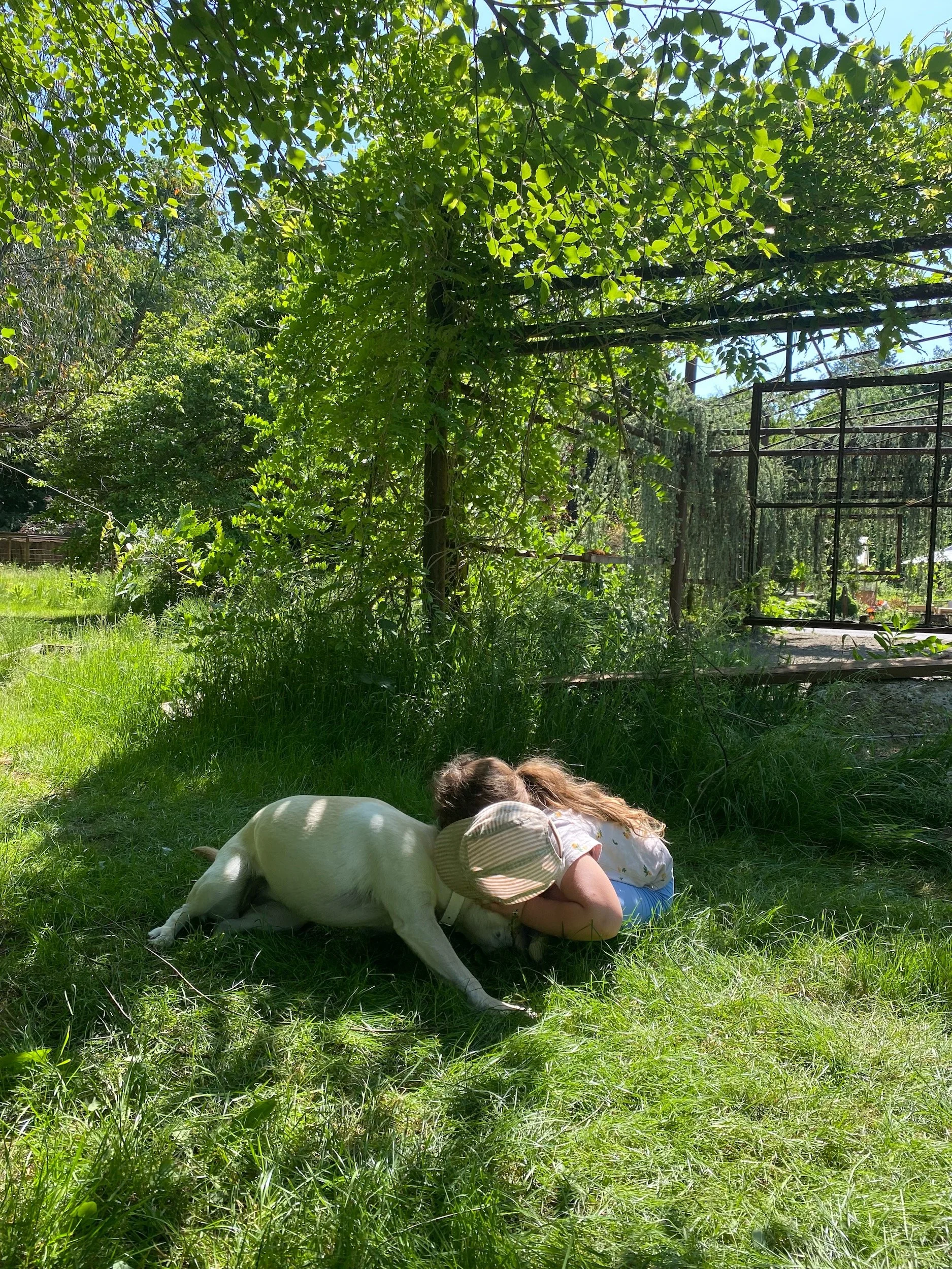 best_airbnb_oregon_24.jpeg