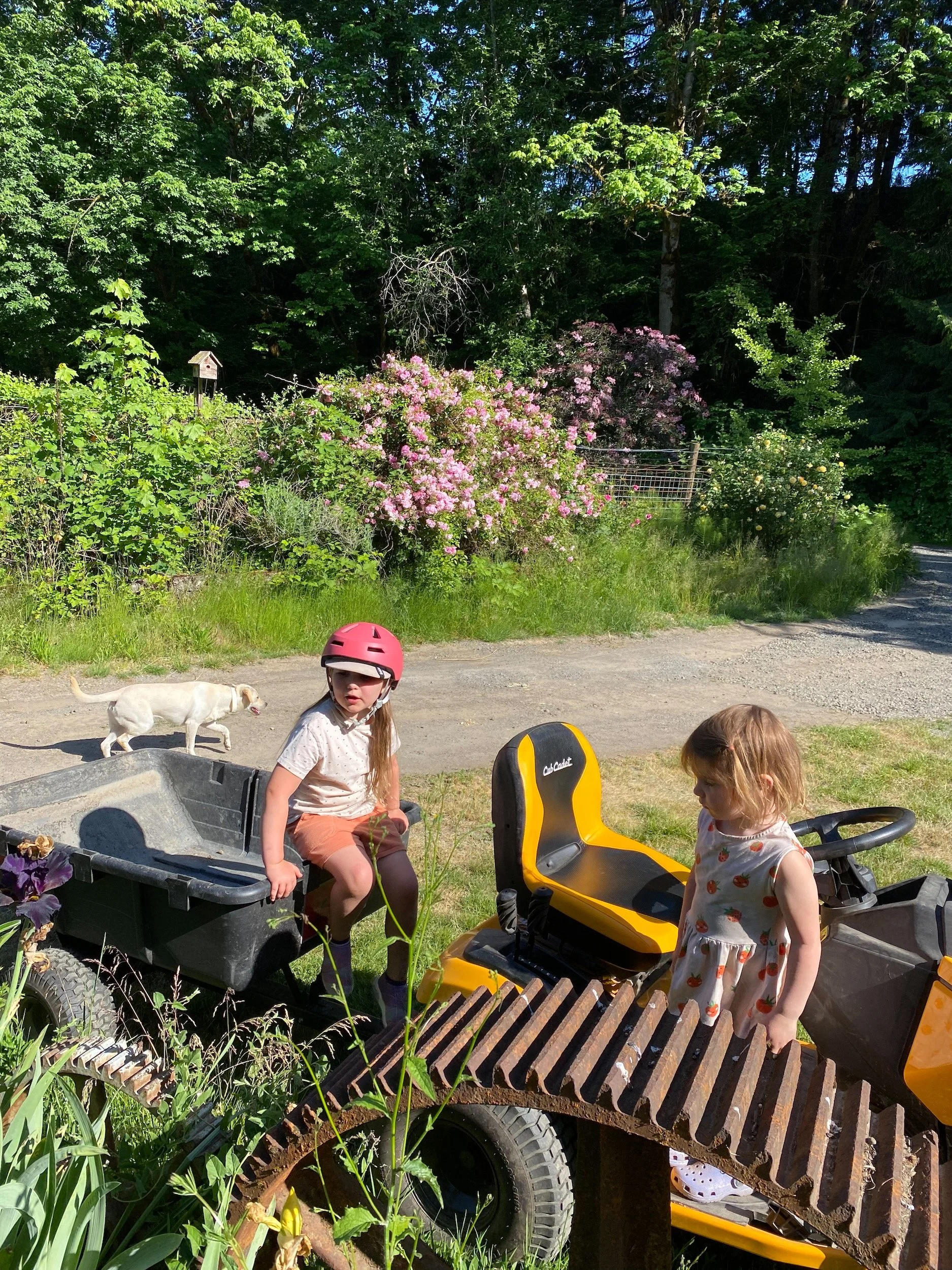 best_airbnb_oregon_32.jpeg