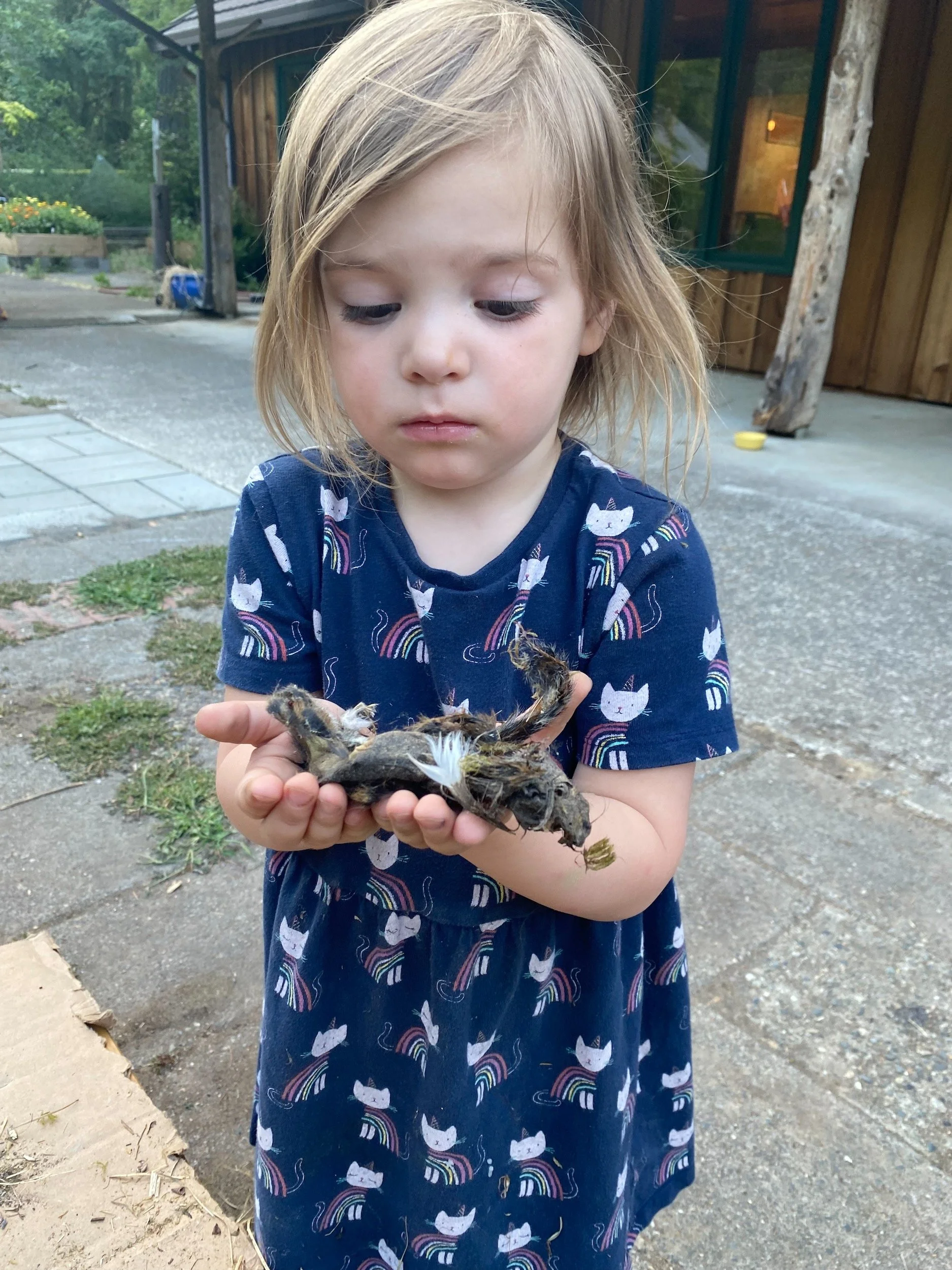 Library - 1 of 1.jpeg.sb-ba508dba-H7XrX8.jpeg