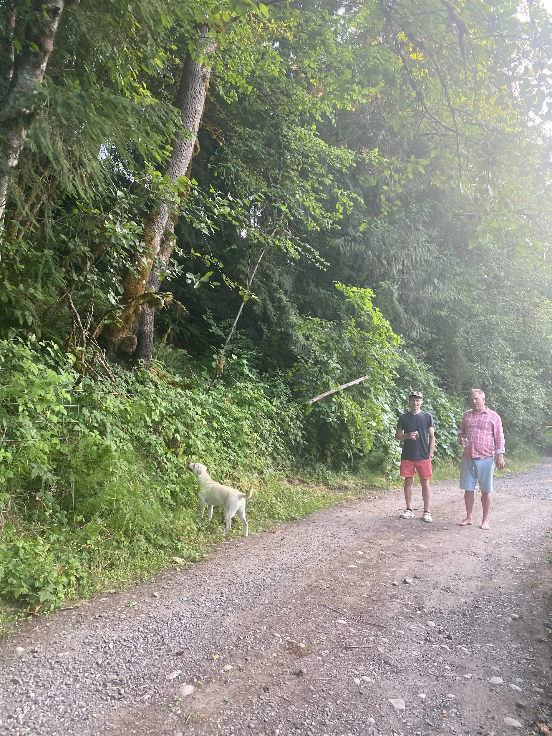 Library - 1 of 1.jpeg