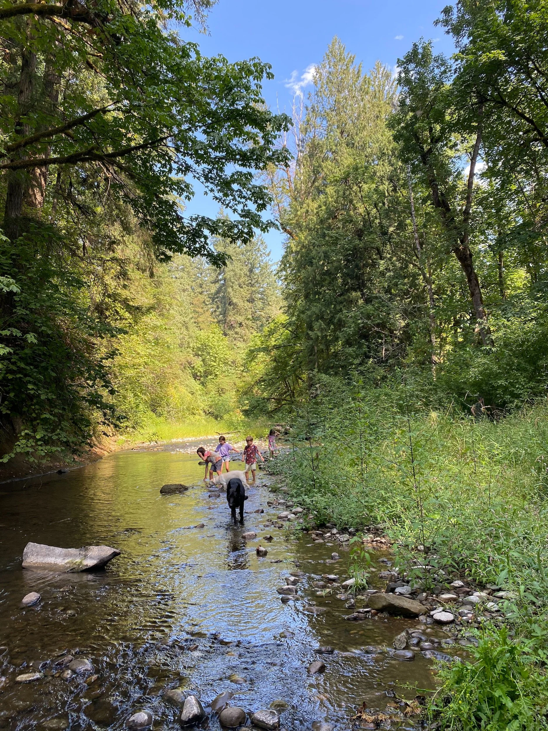 best_airbnb_oregon_12.jpeg