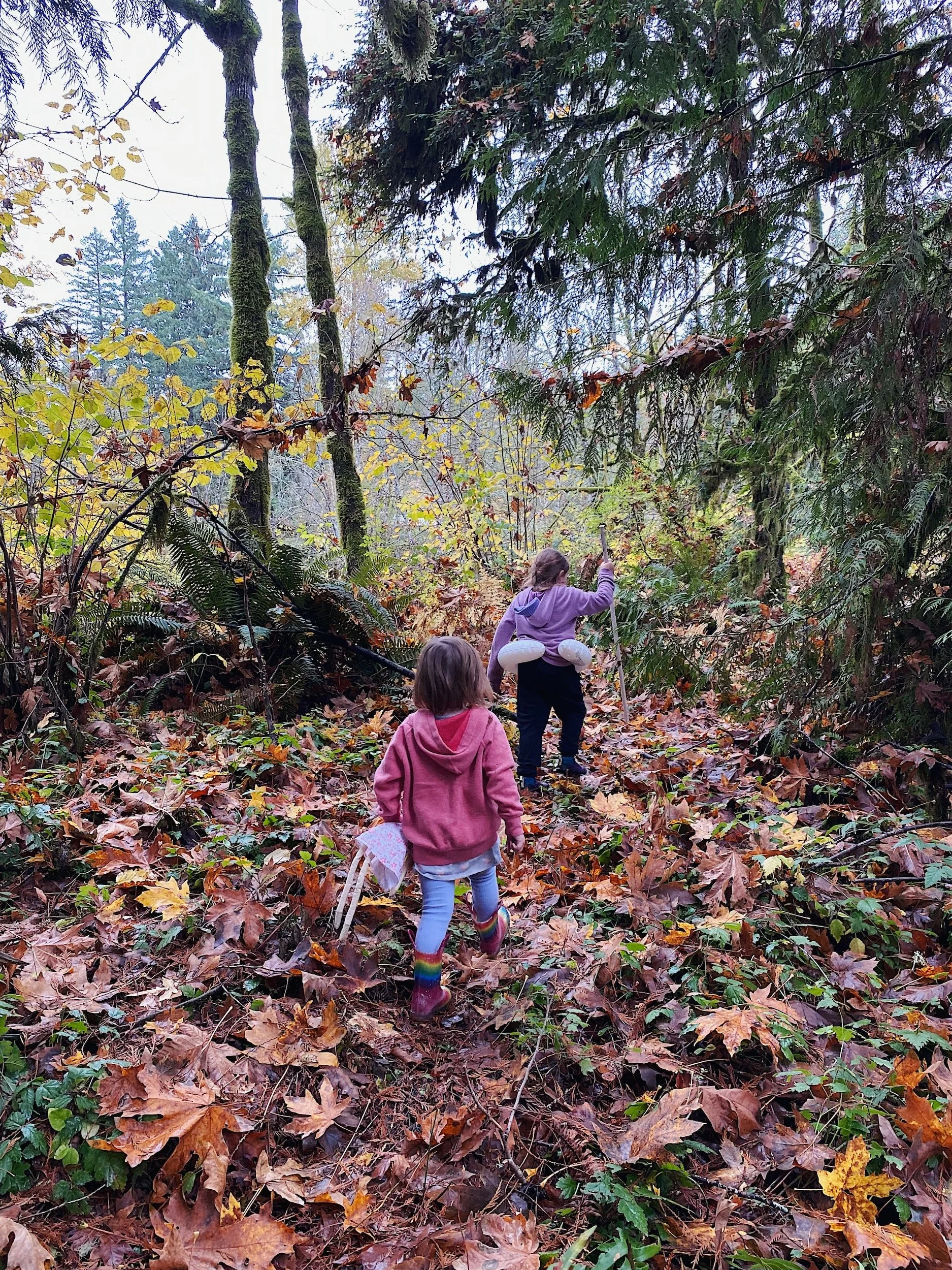 cabin_airbnb_oregon_5.jpeg