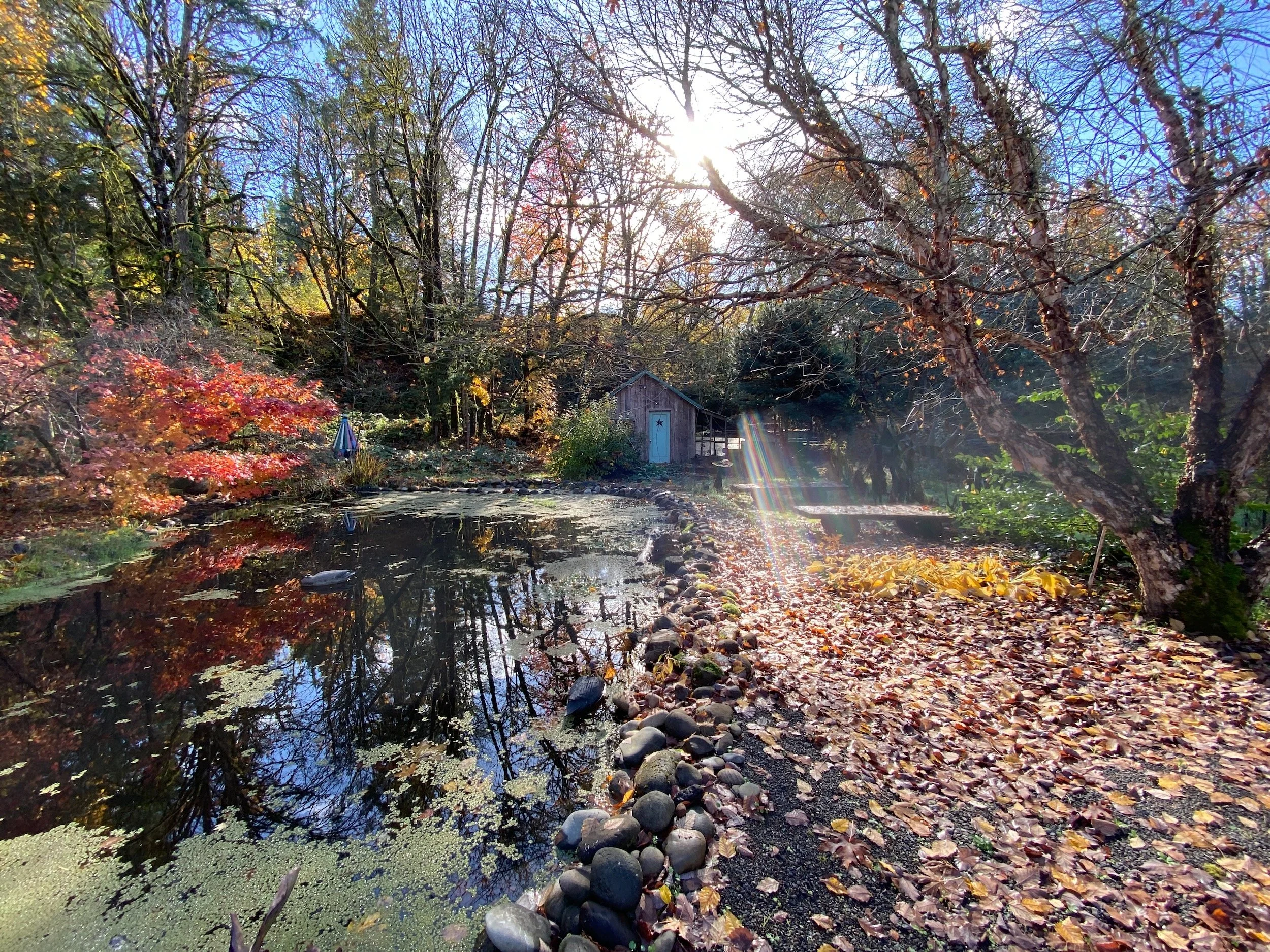 Our second Fall