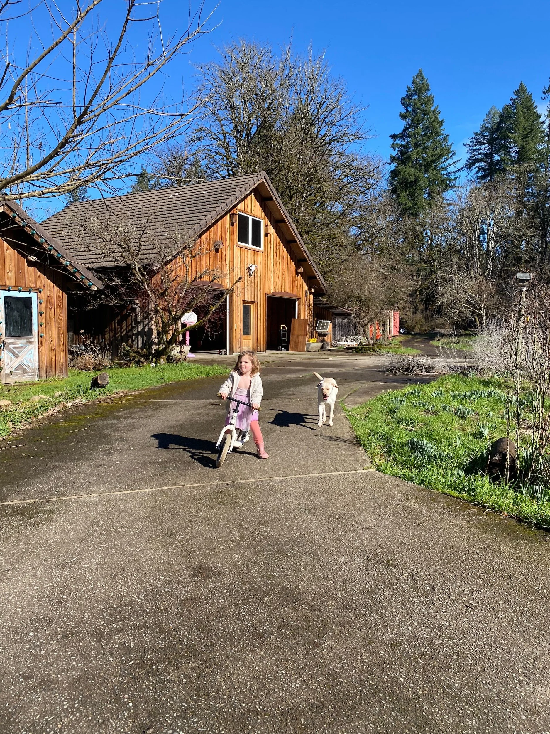 cabin_airbnb_oregon_21.jpeg
