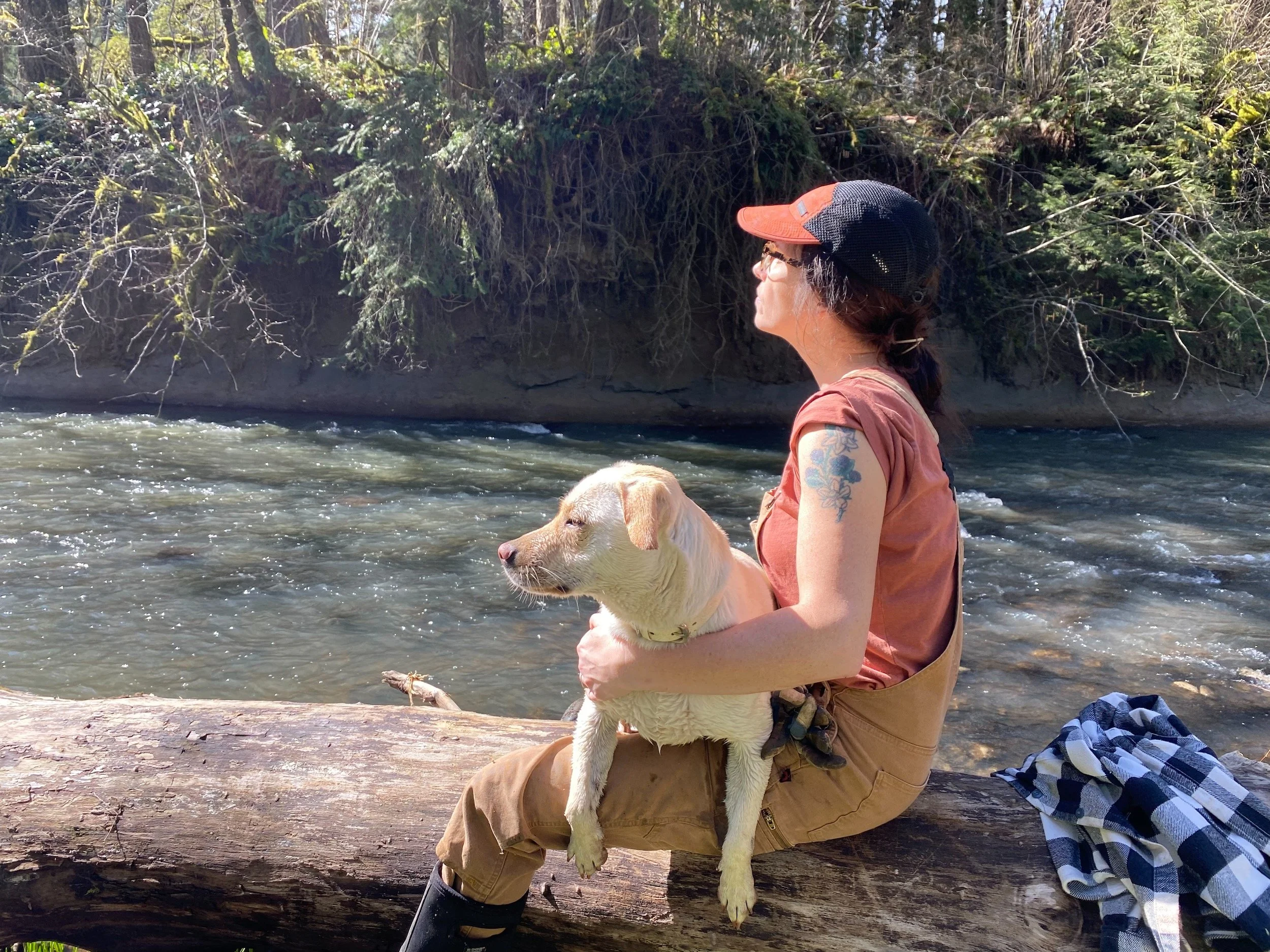 cabin_airbnb_oregon_10.jpeg