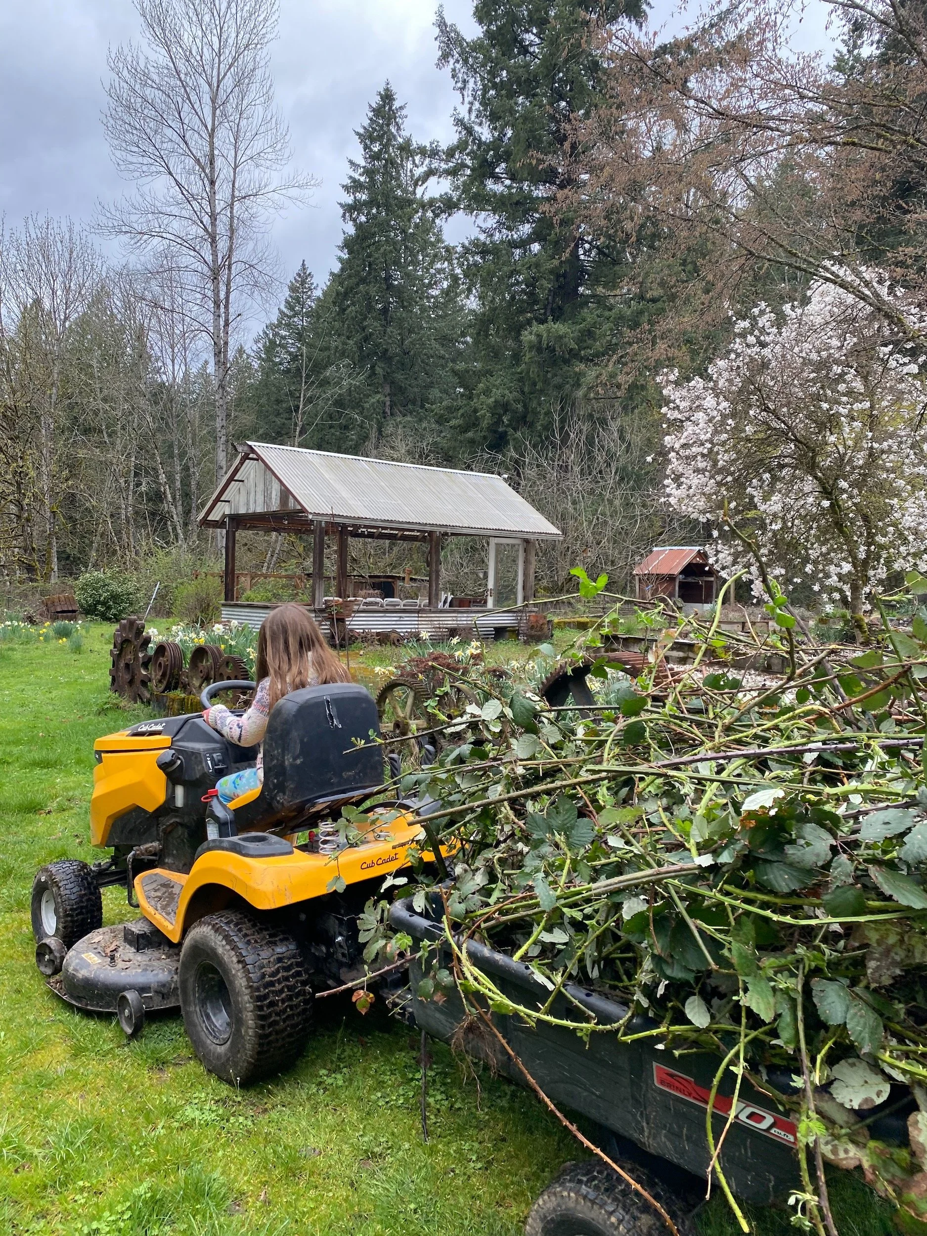 cabin_airbnb_oregon_19.jpeg