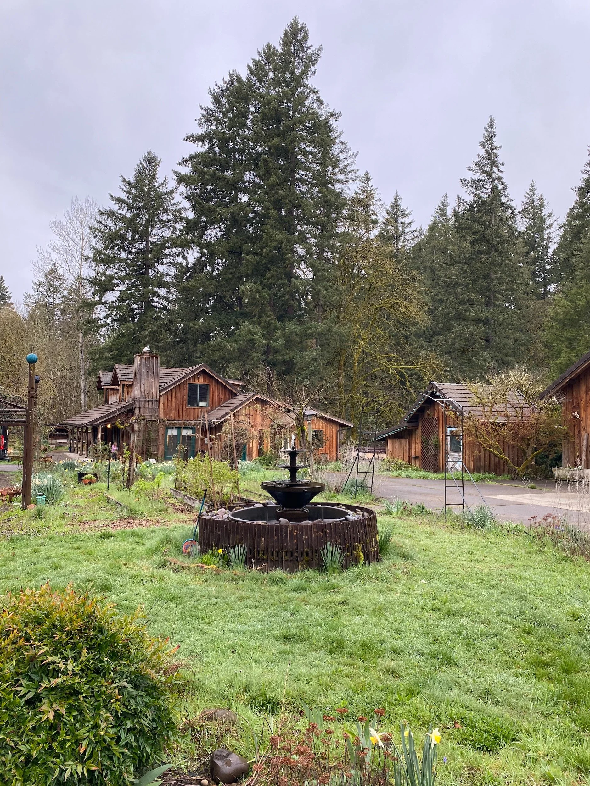 cabin_airbnb_oregon_21.jpeg