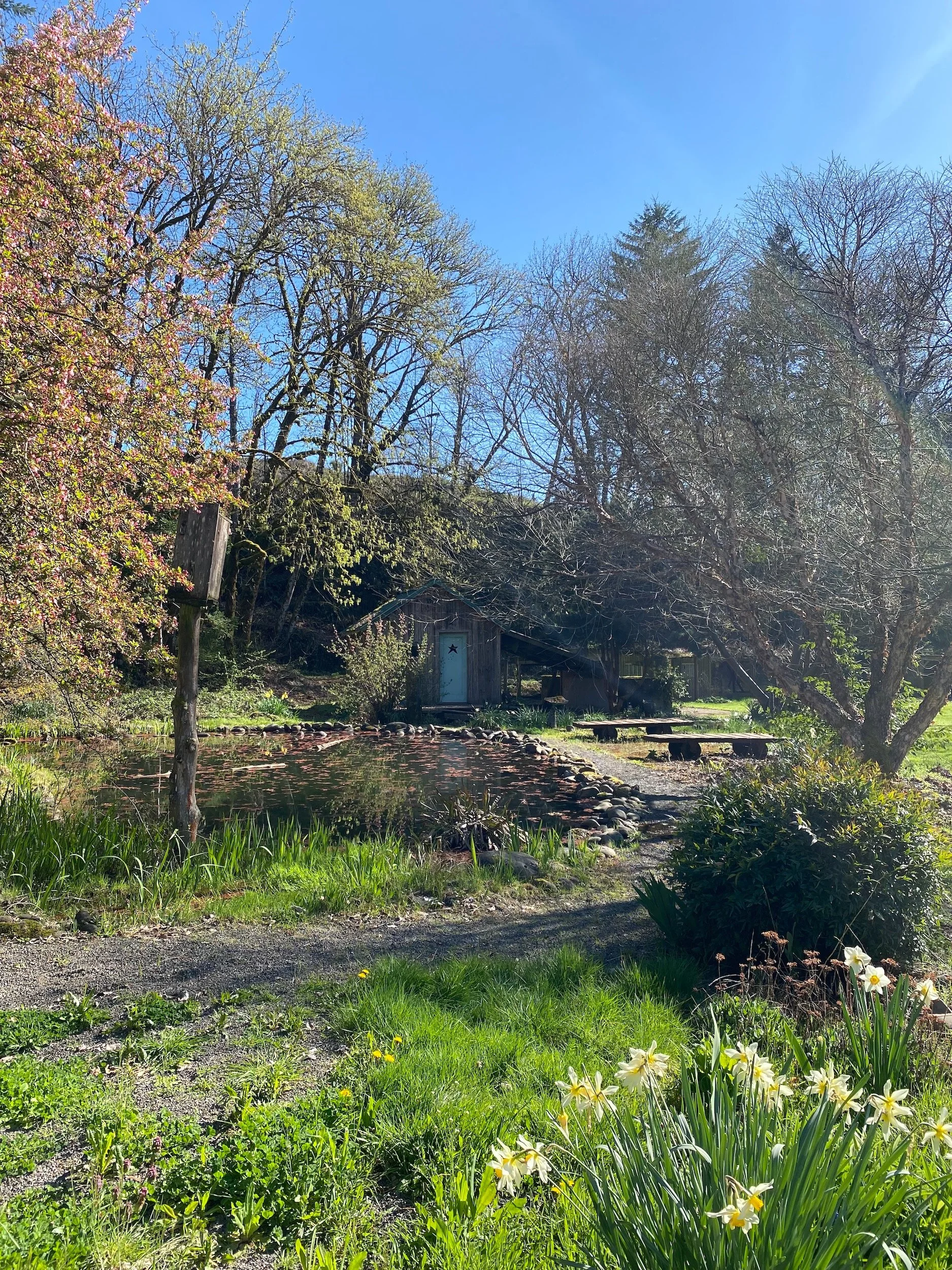 best_airbnb_oregon_22.jpeg
