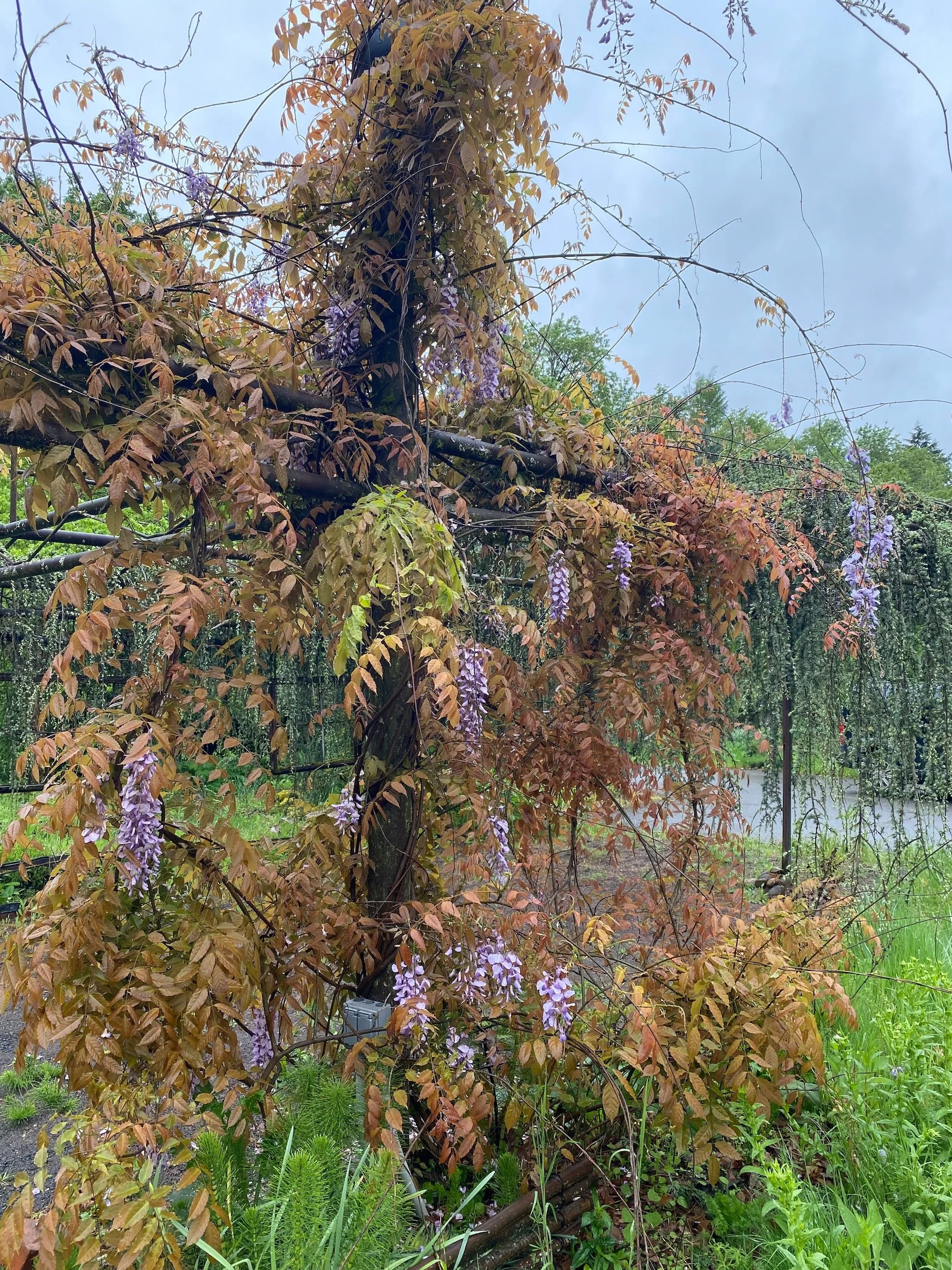 best_vacation_rental_oregon_31.jpeg