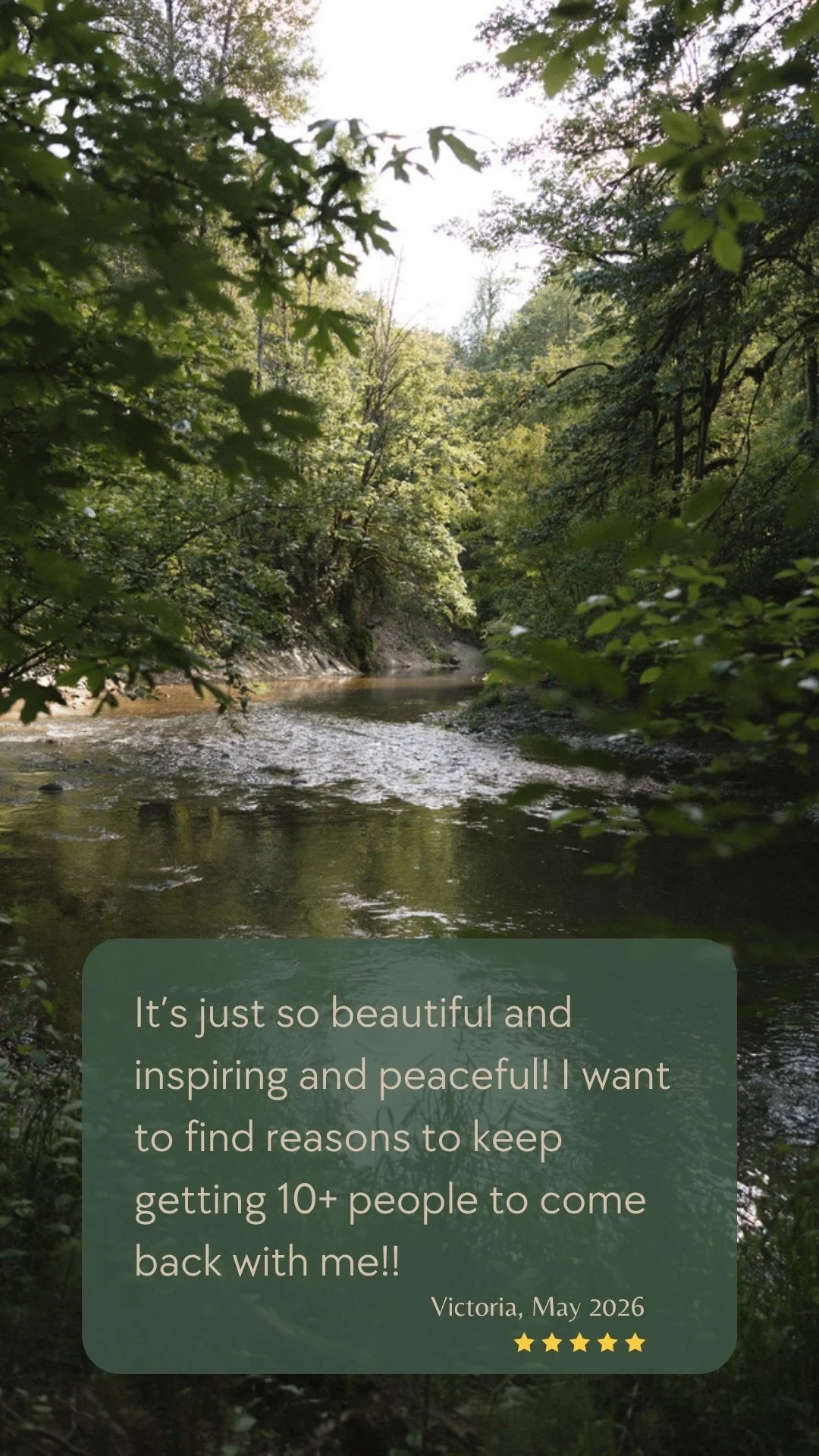A peaceful private creek winding through lush forest at Deep Creek Farmstead, a secluded creekfront vacation rental near Portland, Oregon.