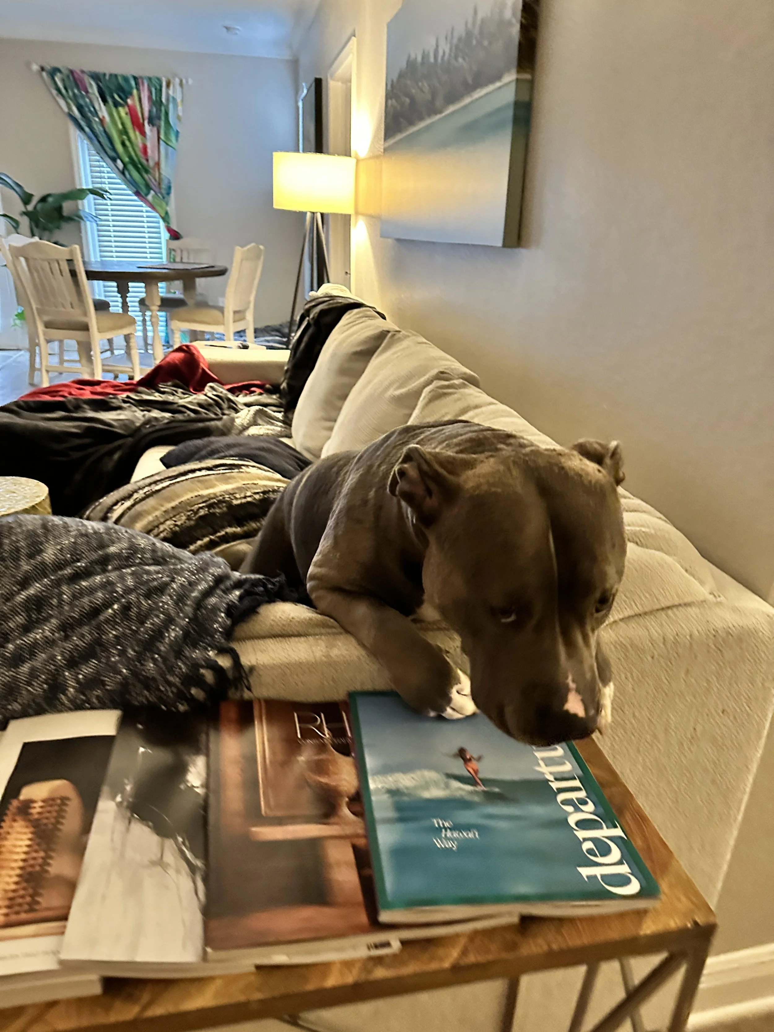 IMG_3246.jpeg