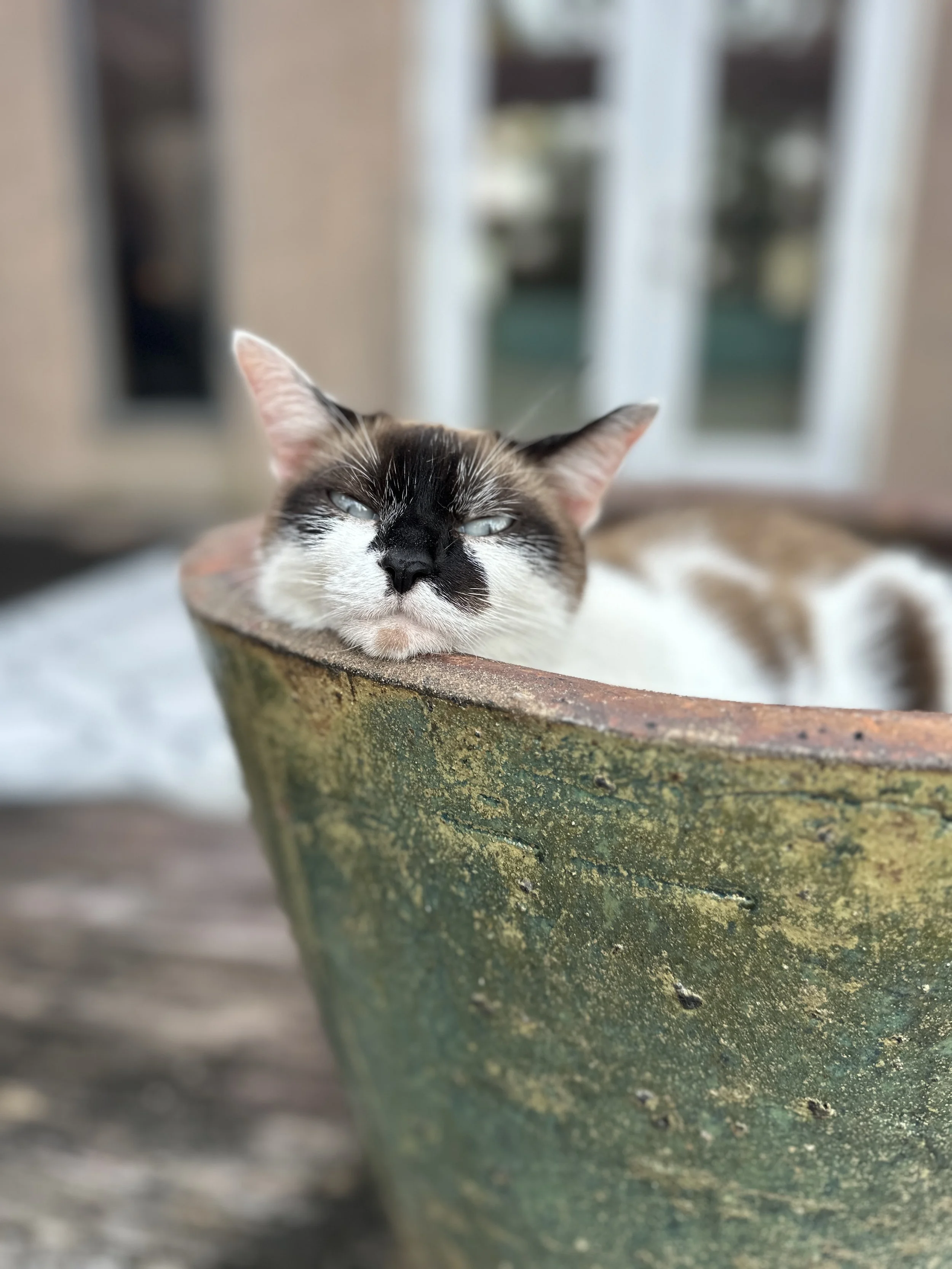 IMG_9842.jpeg