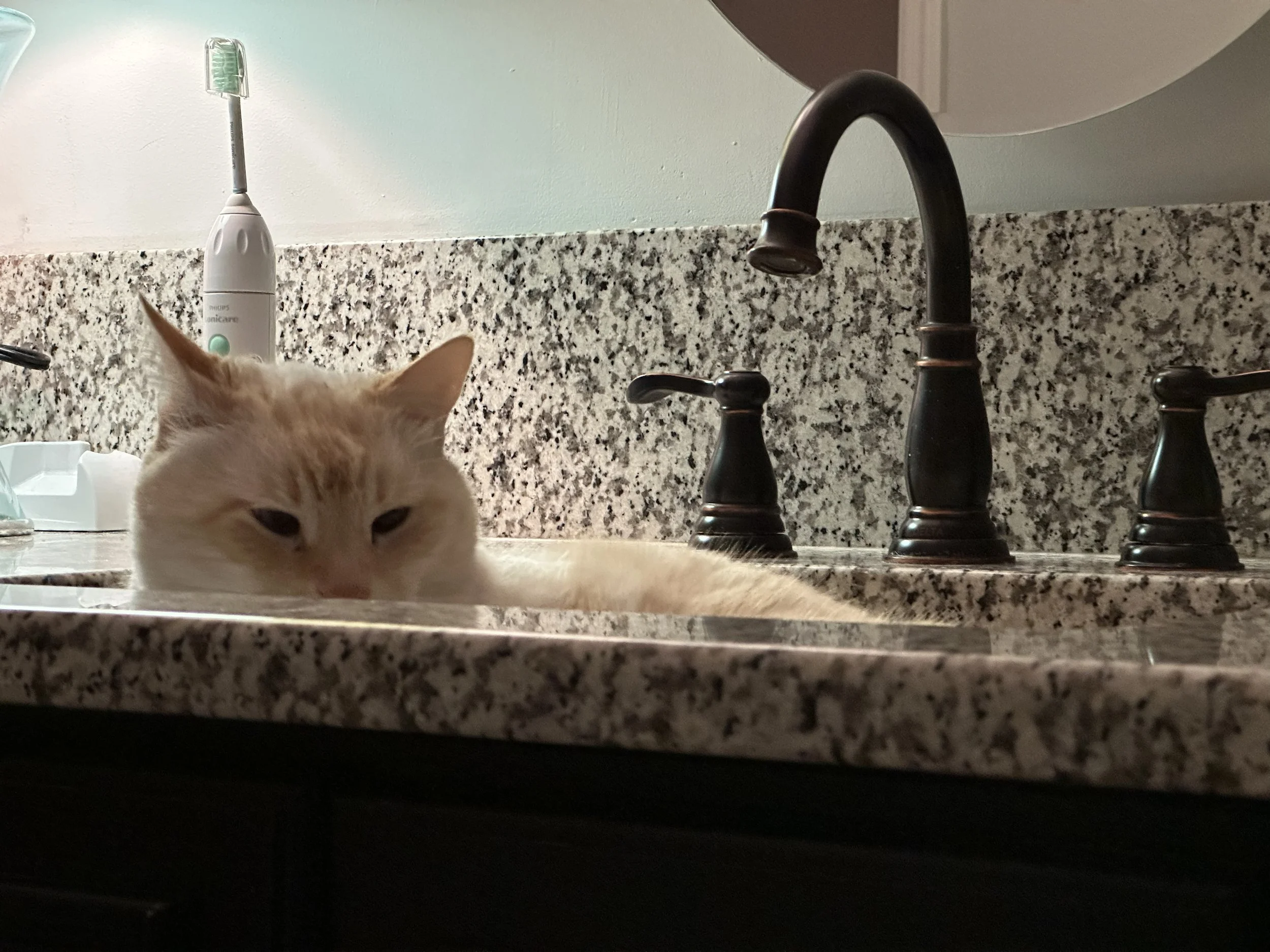 IMG_2042.jpeg