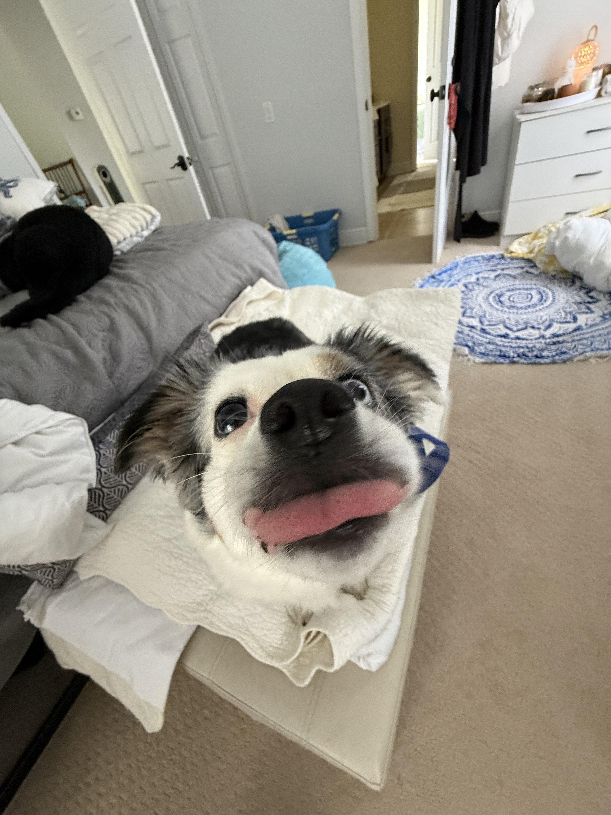 IMG_3133.jpeg