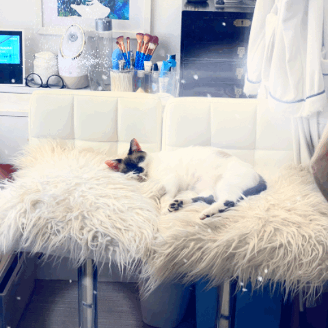 923F7E57-D843-403A-B339-F1805C756788-1376-000001E1C5088984.gif
