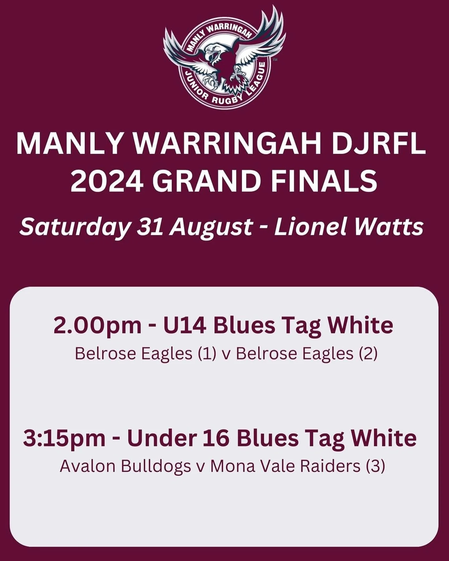 FULL 2024 GRAND FINAL DETAILS!! 💙💙