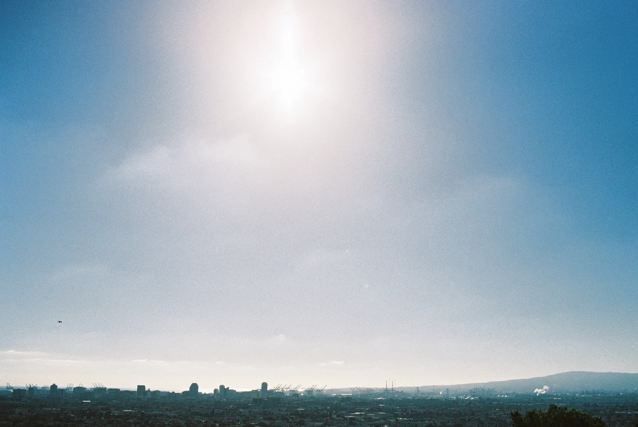 Long Beach film blog.webp