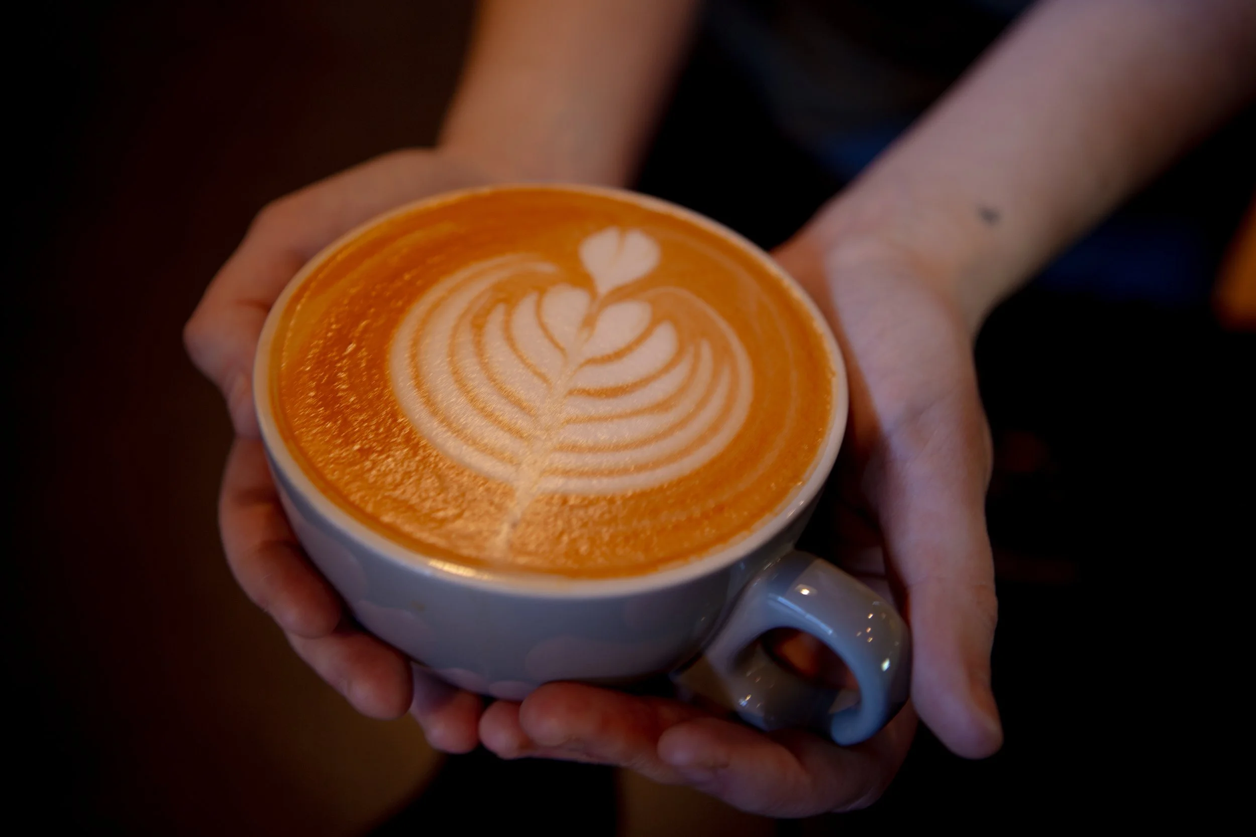 Portal West Seasonal Drinks 2024