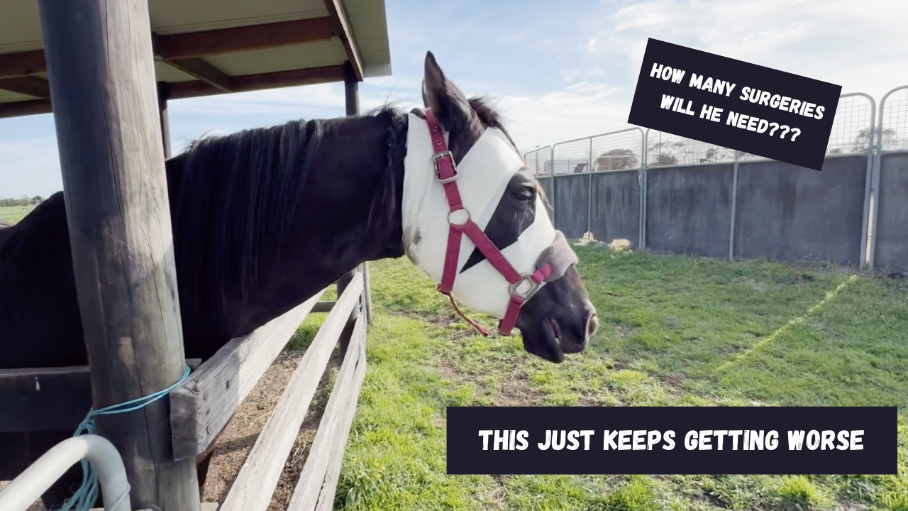 Tooth infection or not?