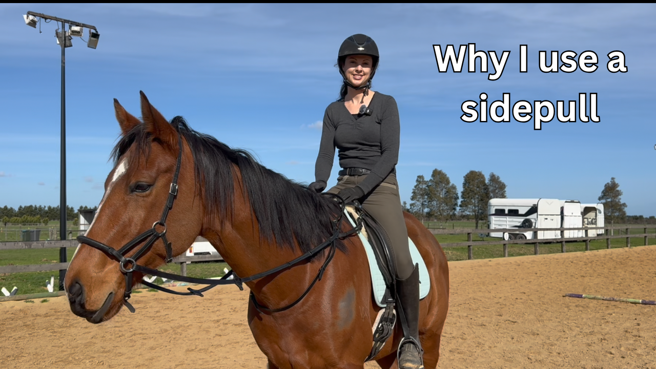 Why I use a sidepull 