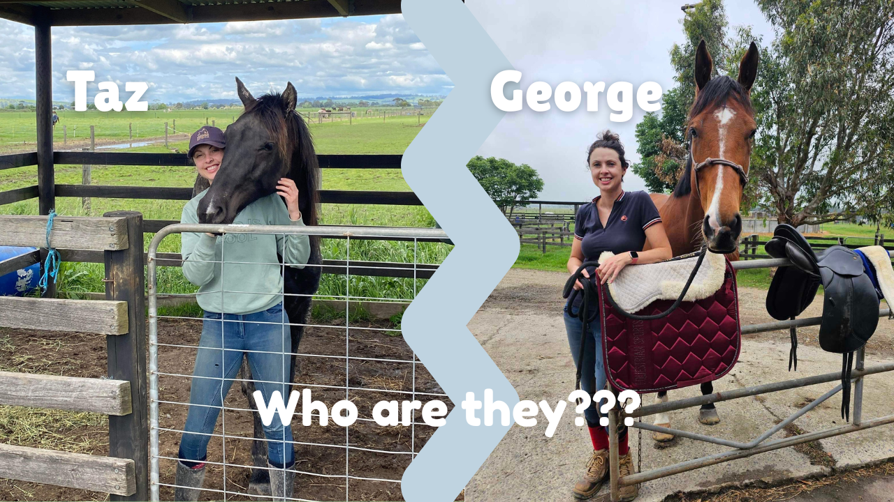 Intro to my youngsters